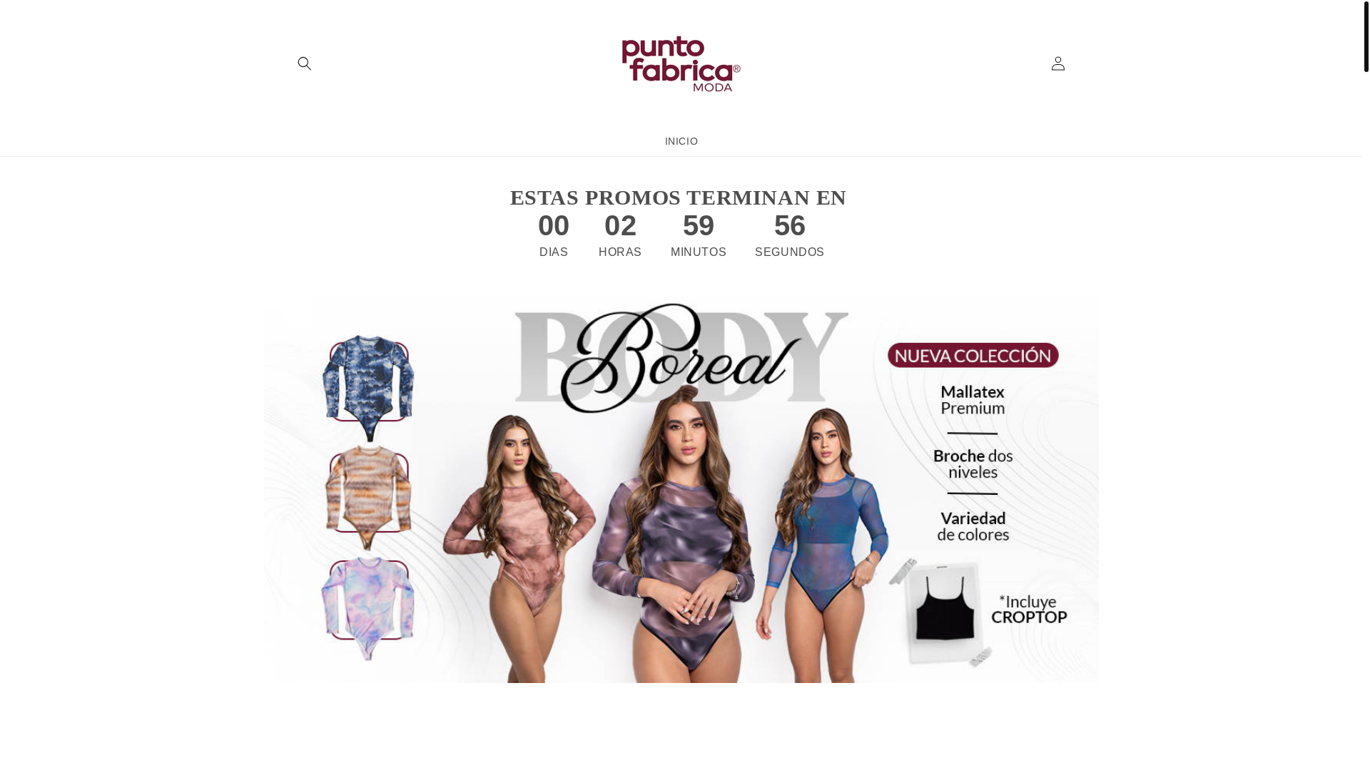 website screenshot of https://puntabrica.com/