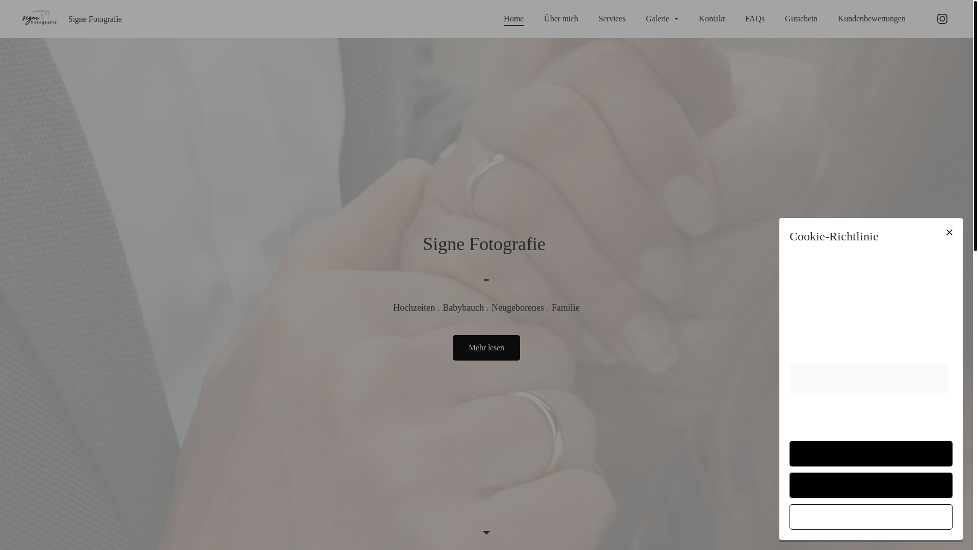 website screenshot of https://signefotografie.com/