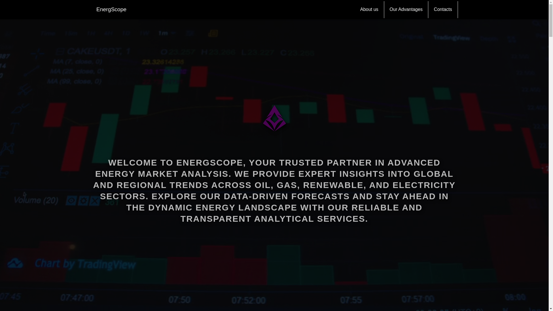 website screenshot of https://energscope.com/