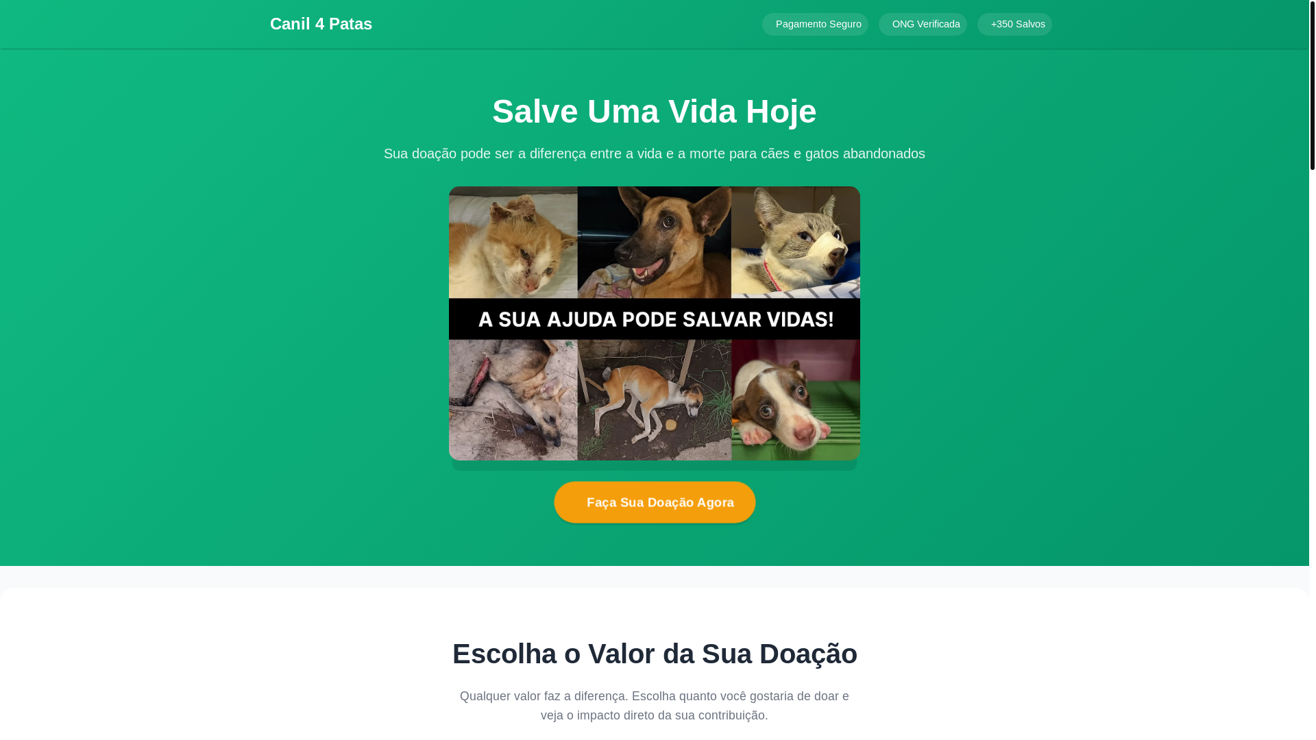 website screenshot of https://canil4patas.online/