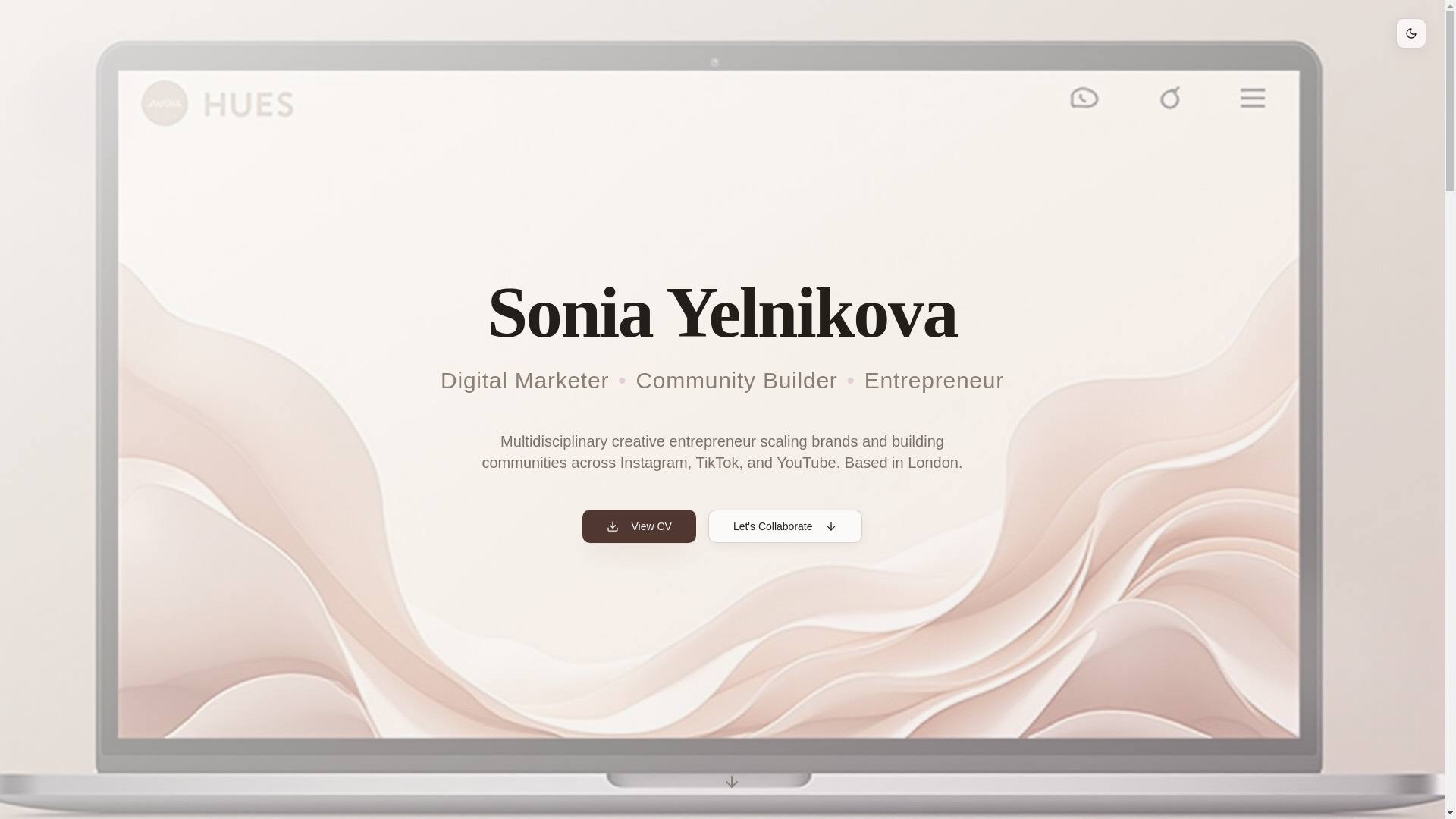 website screenshot of https://soniayelnikova.com/