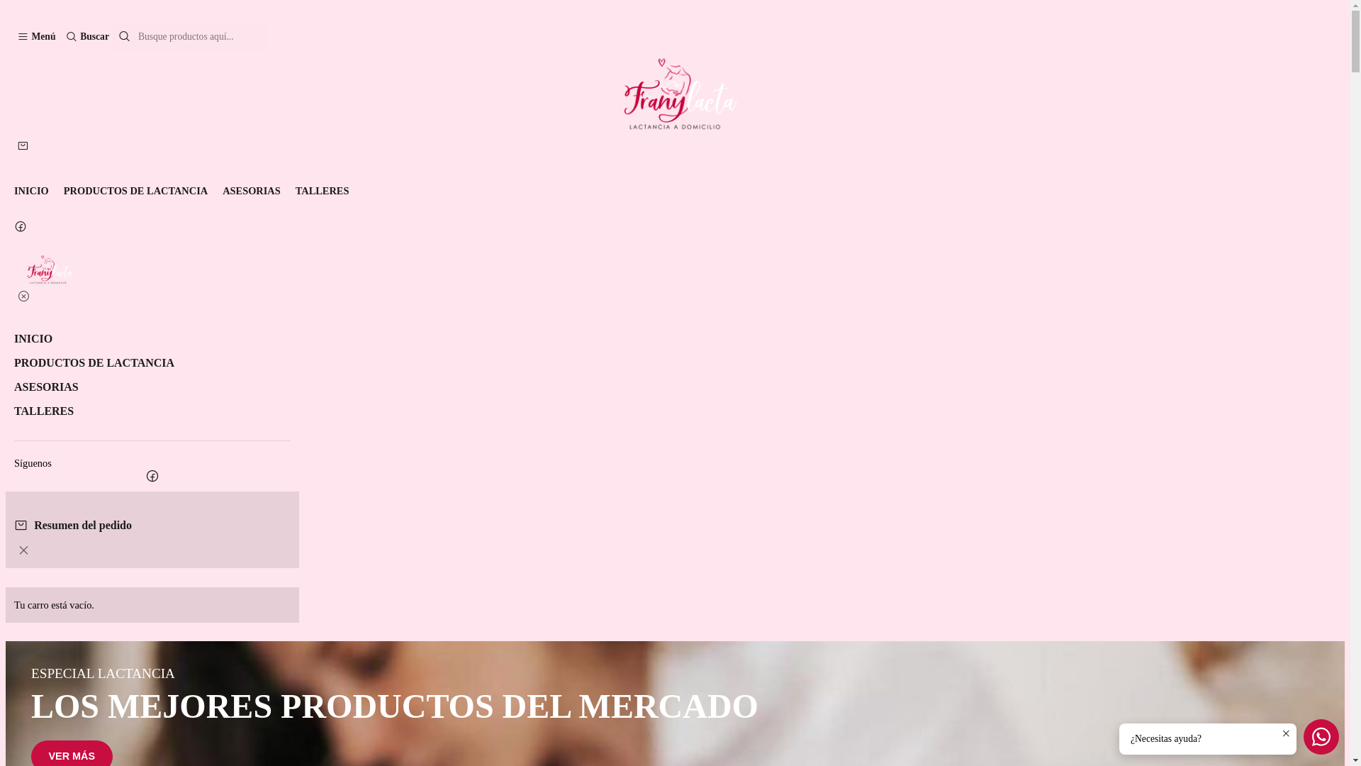 website screenshot of https://franylacta.cl/