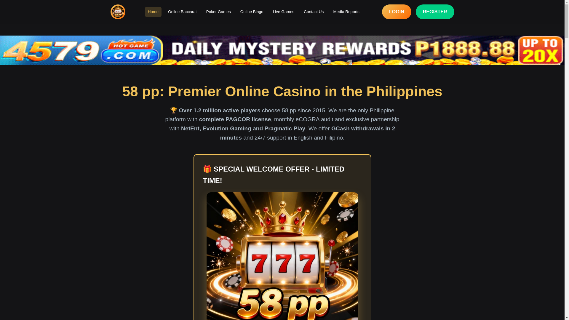 website screenshot of https://58pptaya.com/