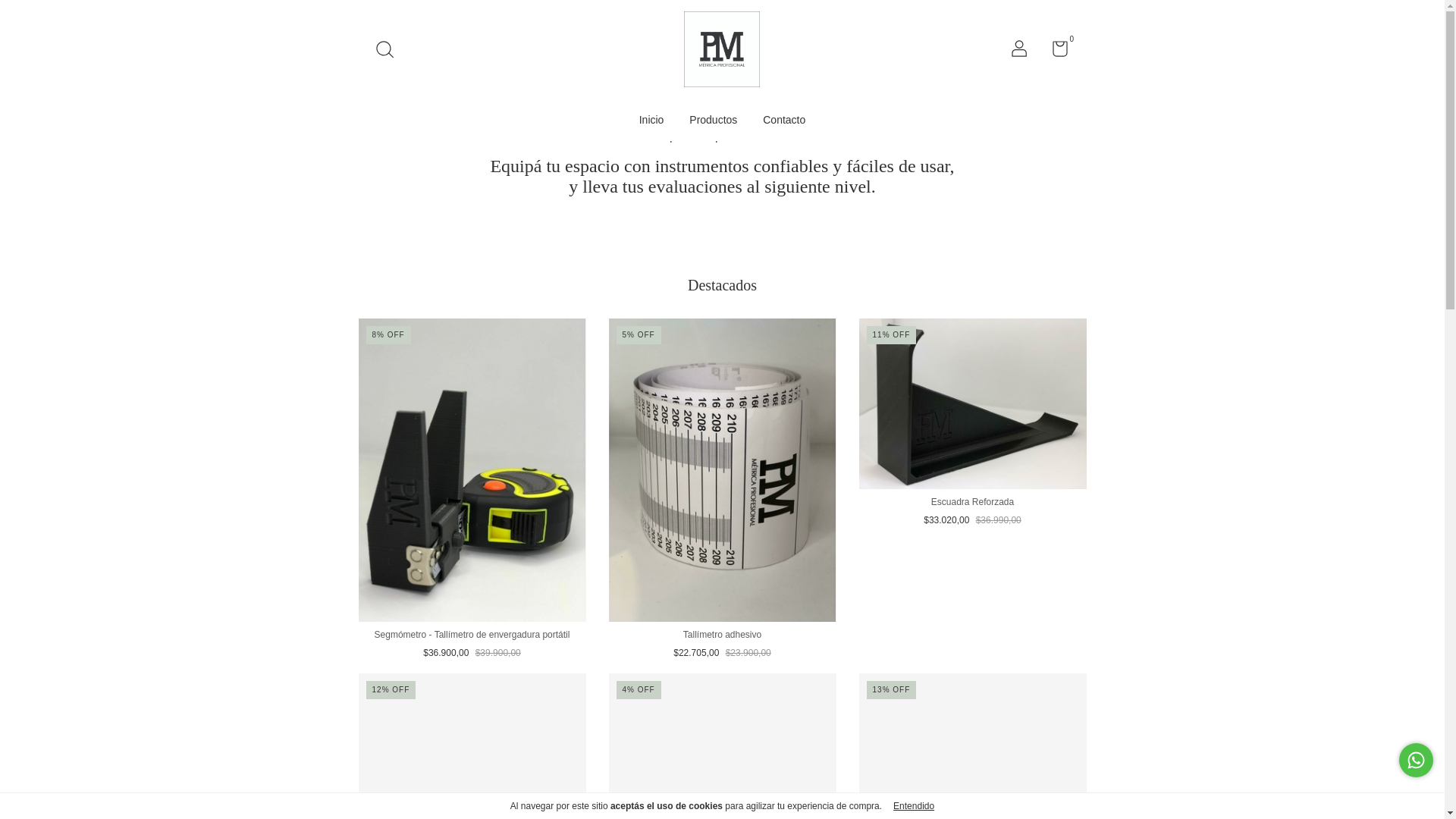 website screenshot of https://pmmetrica.com.ar/