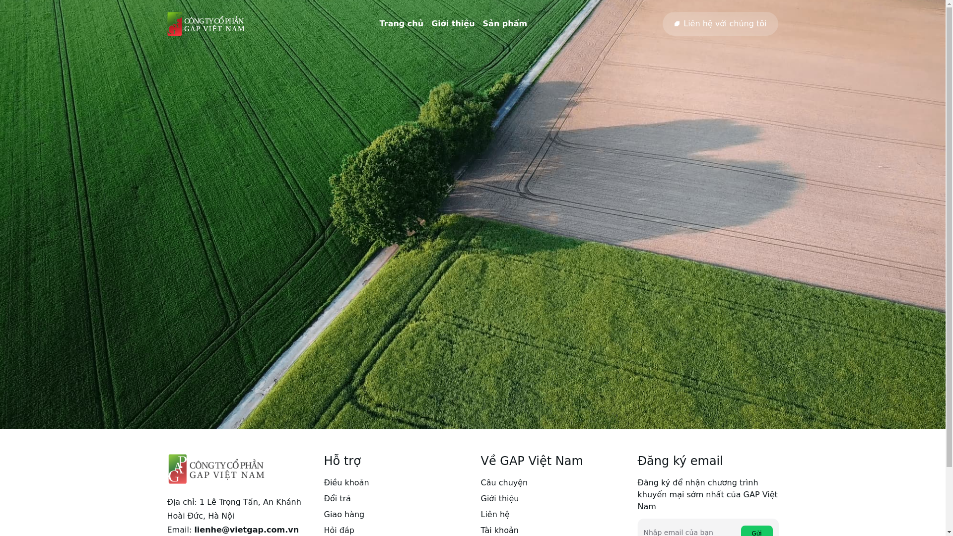 website screenshot of https://gap-vietnam.pages.dev/
