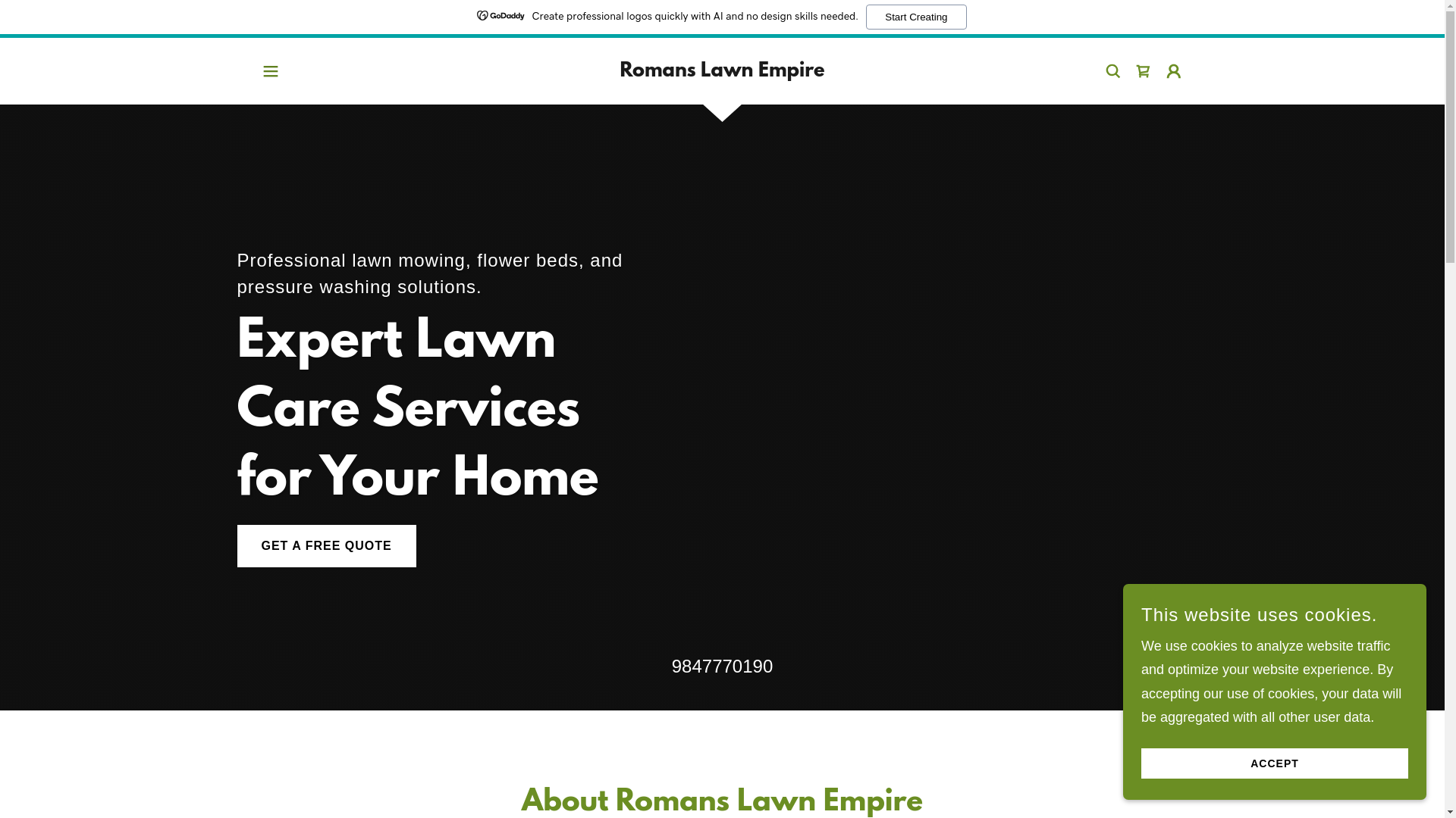 website screenshot of https://romanslawnempire.com/
