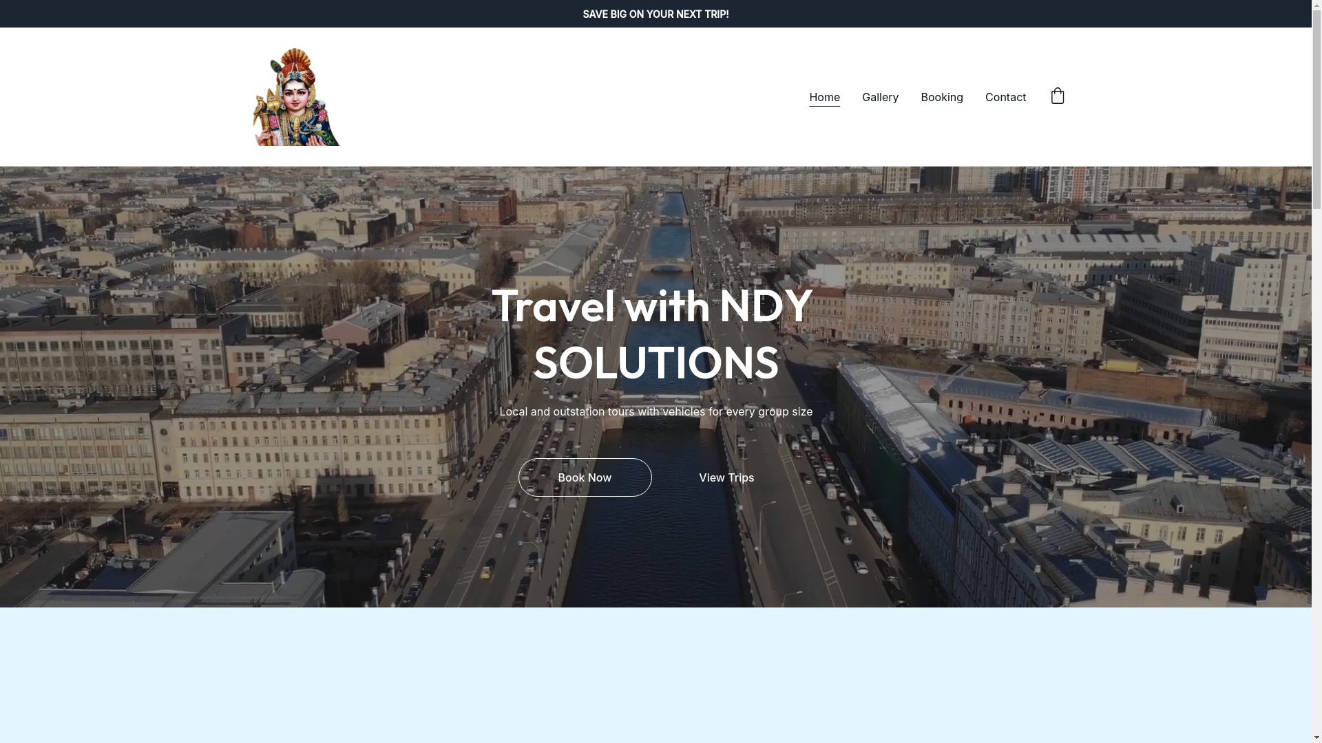 website screenshot of https://ndysolution.in/