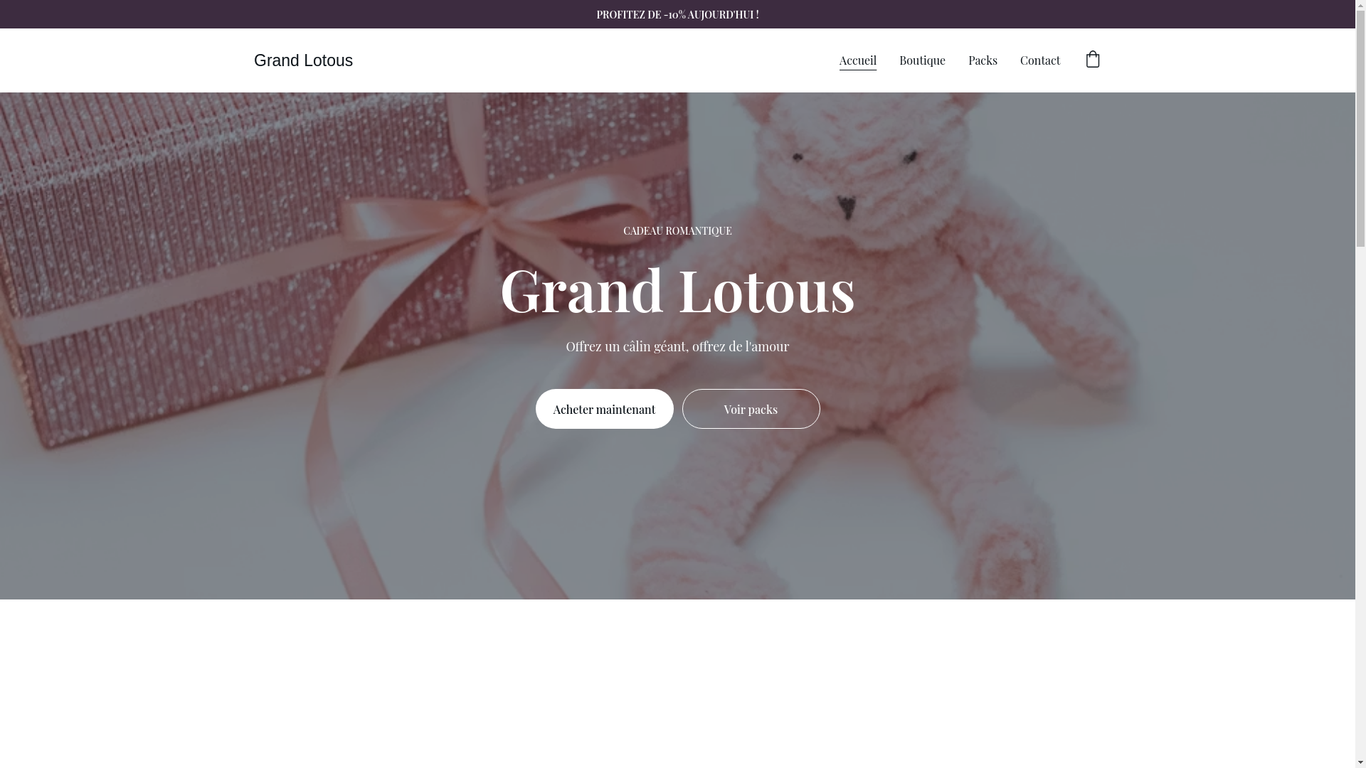 website screenshot of https://grandlotous.fr/