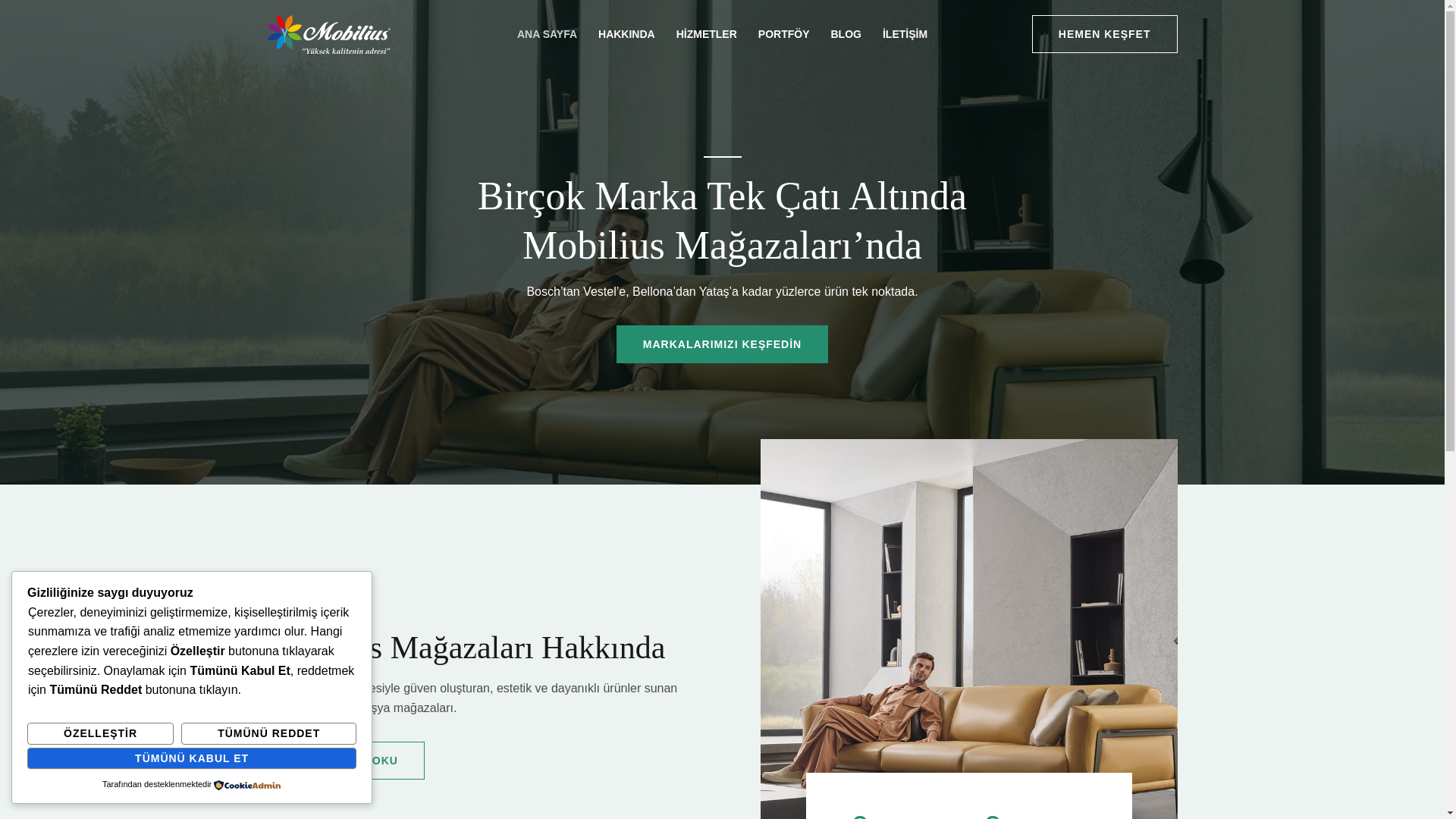 website screenshot of https://mobiliusavm.com/