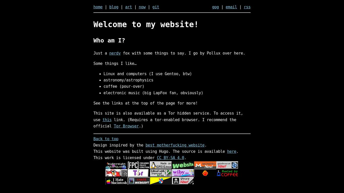 website screenshot of https://pollux.codes/