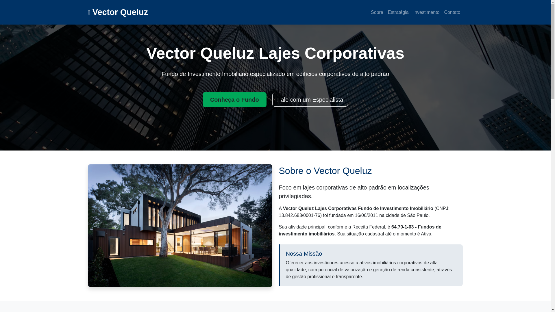 website screenshot of https://vectorfound.online/