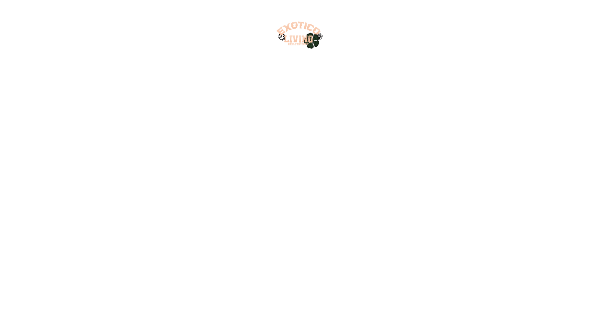website screenshot of https://exolvn.store/