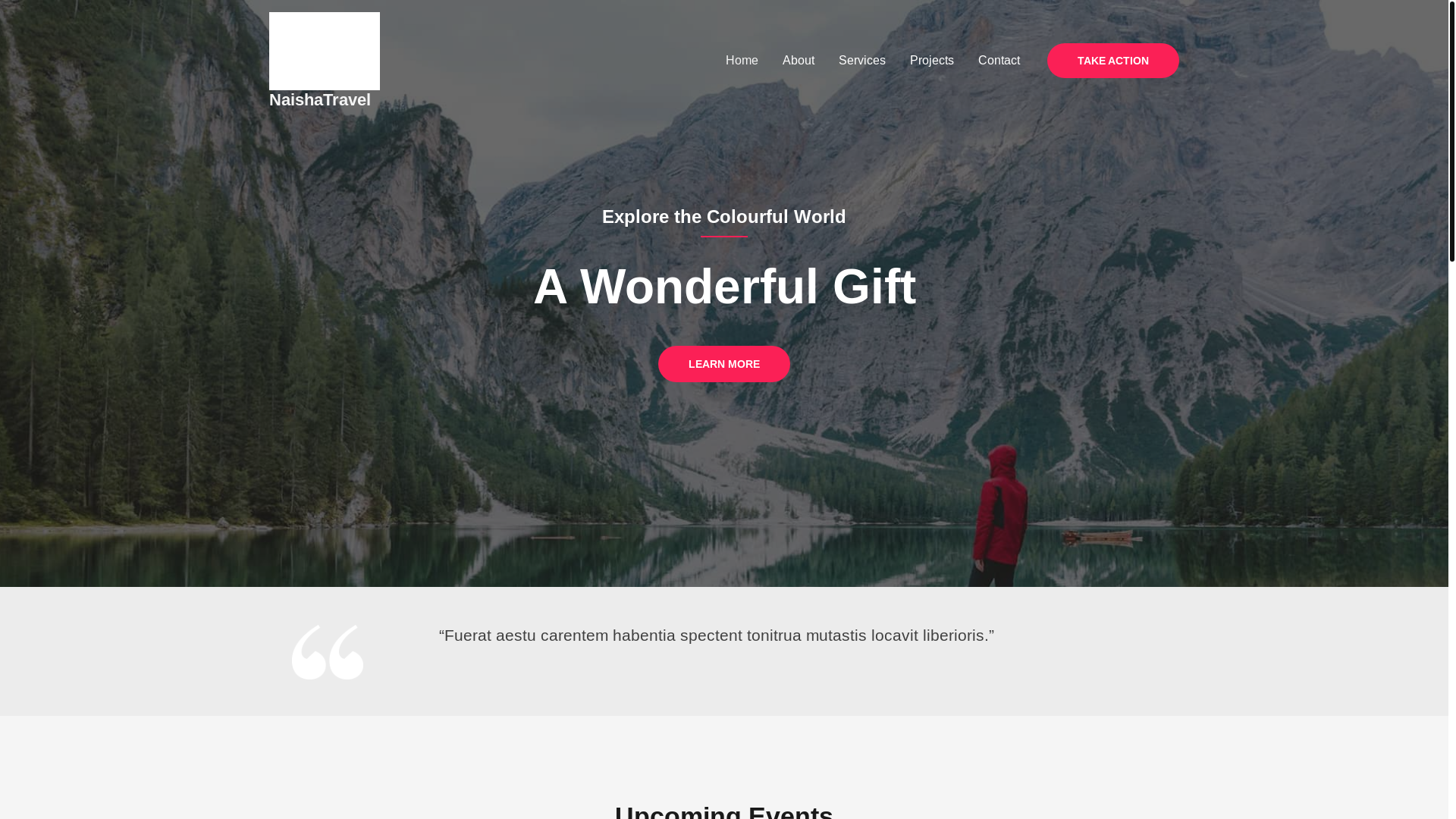 website screenshot of https://naishatravel.com/