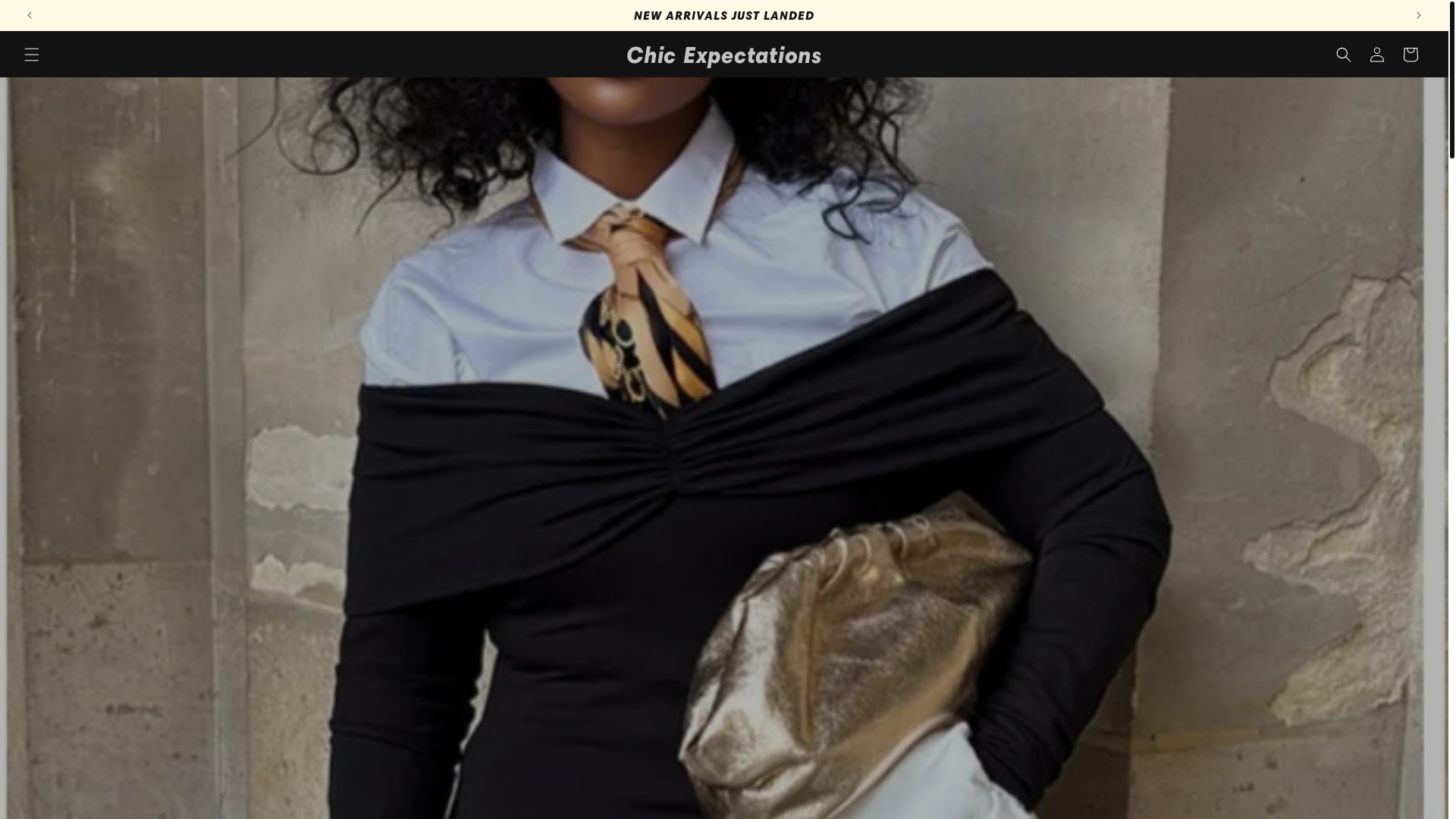 website screenshot of https://chicexpectations.com/