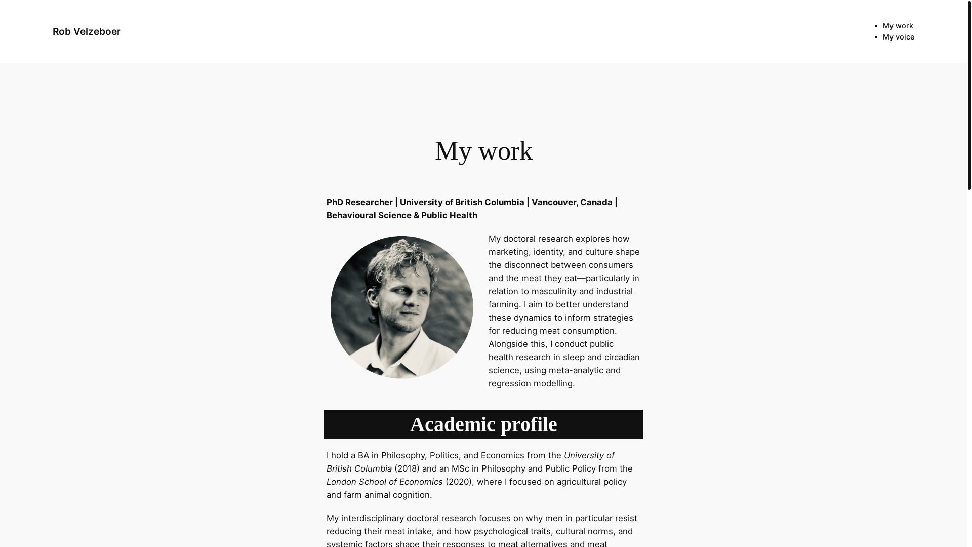 website screenshot of https://robvelzeboer.com/