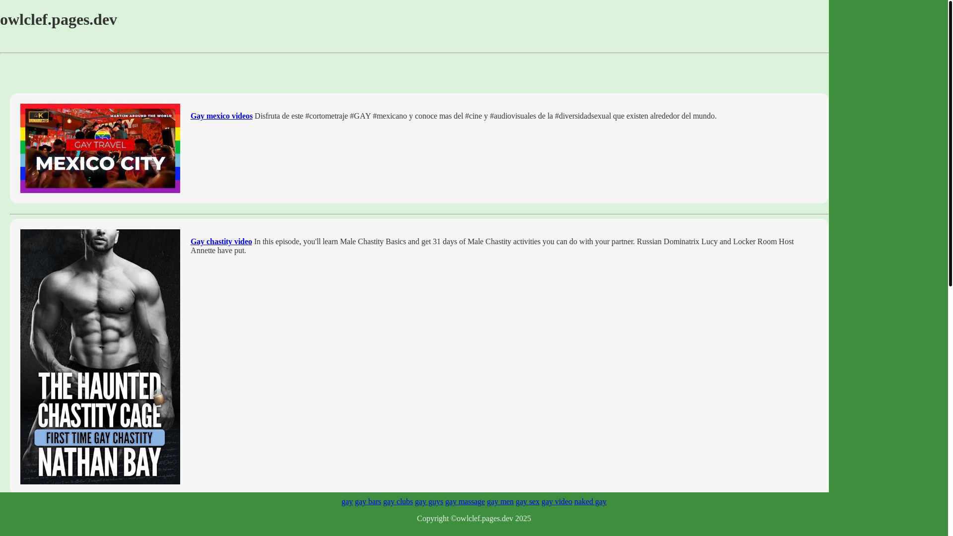 website screenshot of https://owlclef.pages.dev/