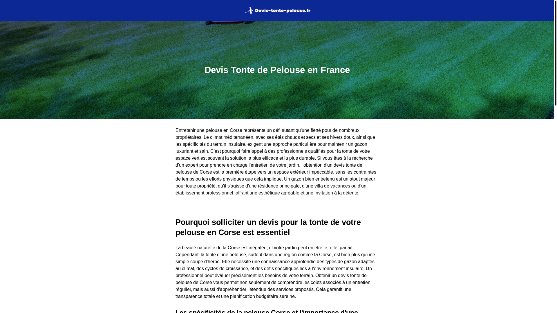 website screenshot of https://devis-tonte-pelouse.fr/