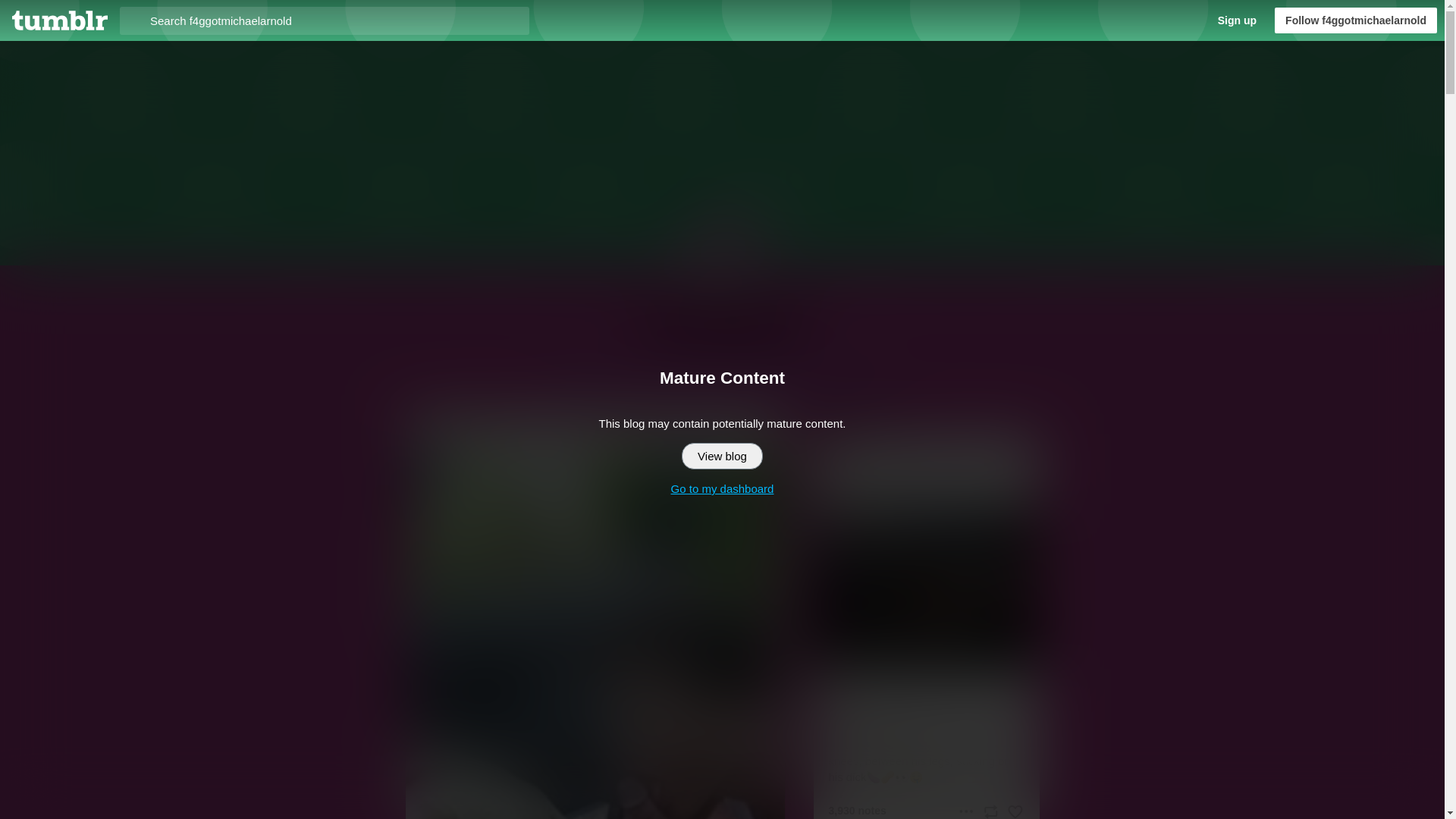 website screenshot of https://f4ggotmichaelarnold.blog/