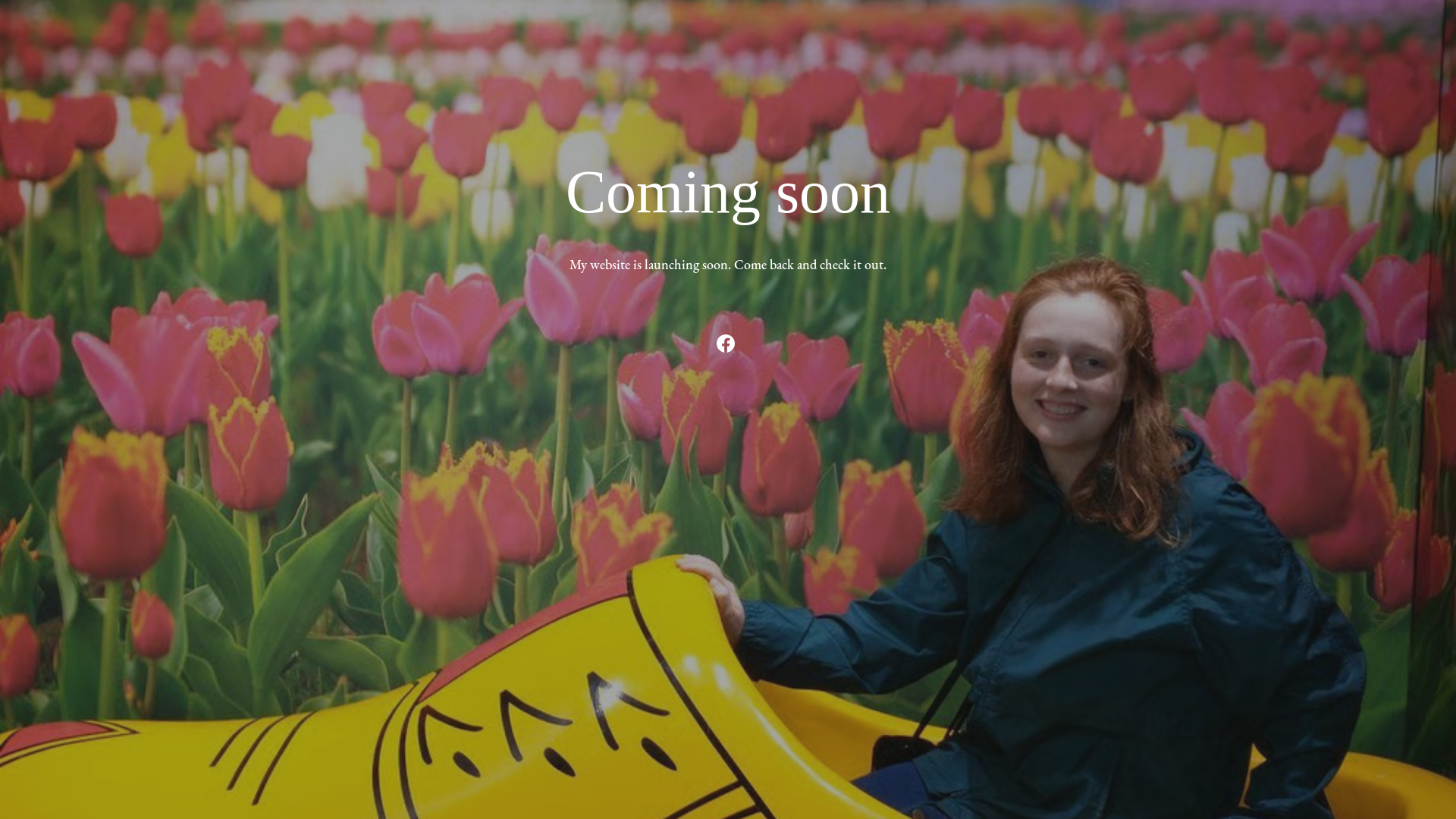 website screenshot of https://abigailtothenl.org/