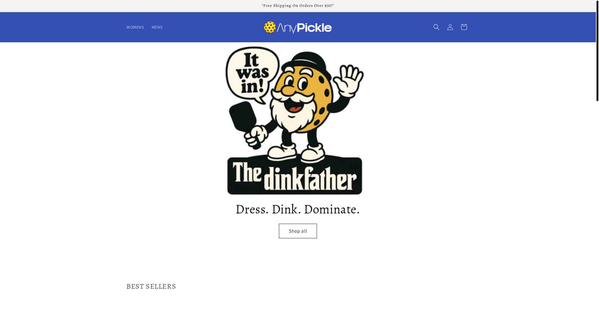 website screenshot of https://anypickle.com/