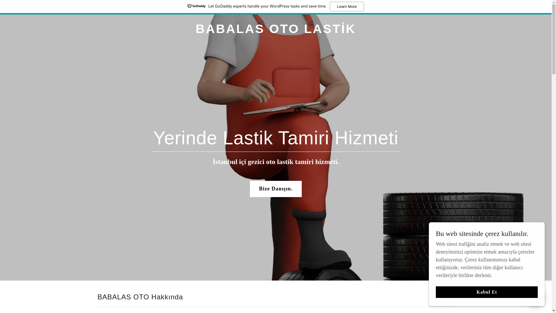 website screenshot of https://babalasotolastik.com/