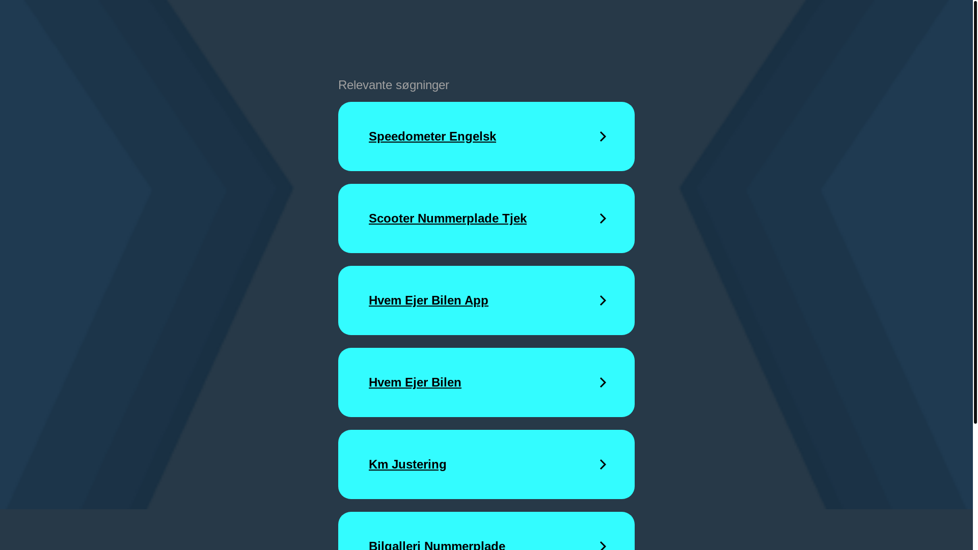 website screenshot of https://bilsyn-naer-mig-ktl.cyou/