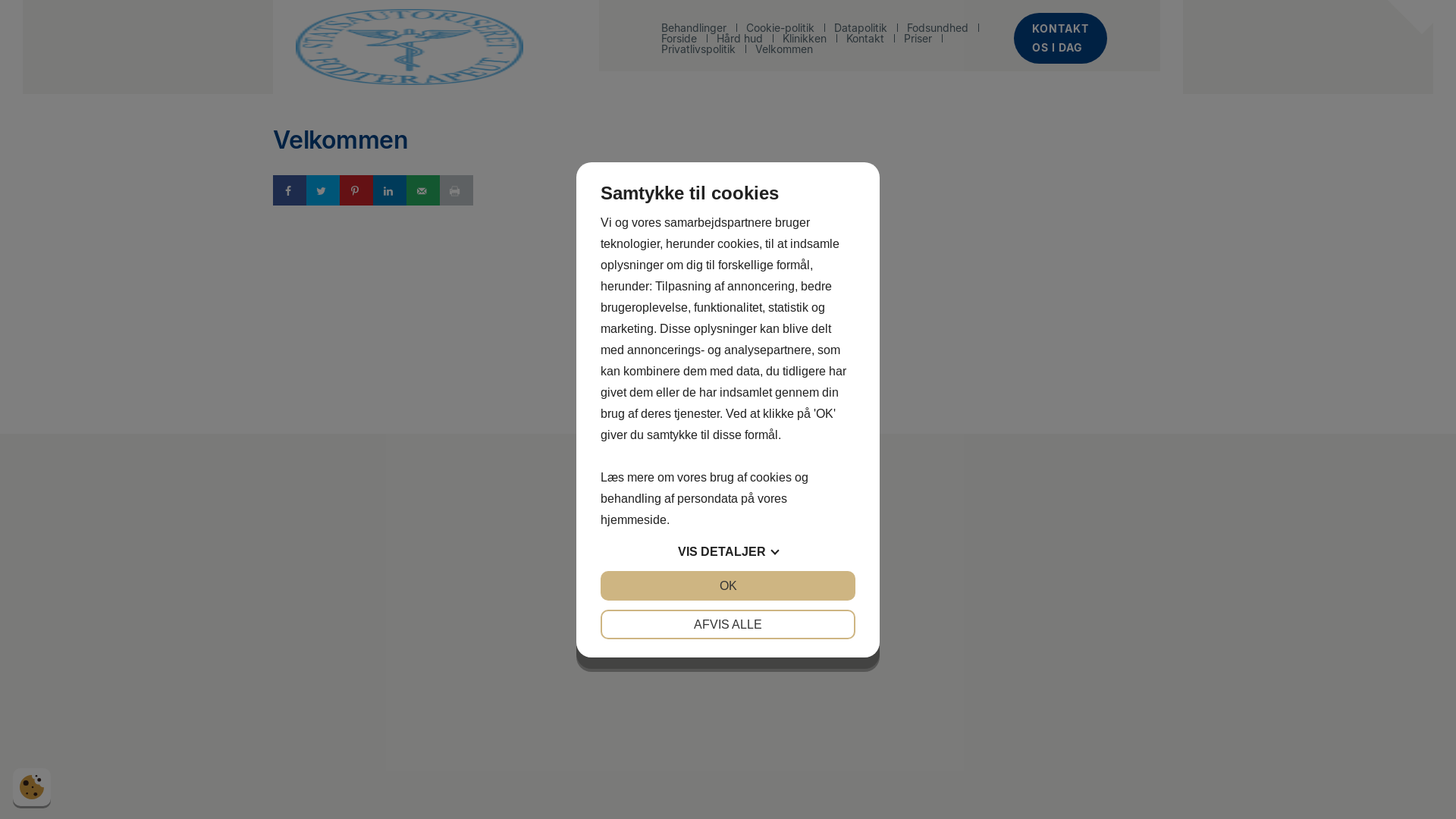 website screenshot of https://ryomgaardfodterapi.dk/