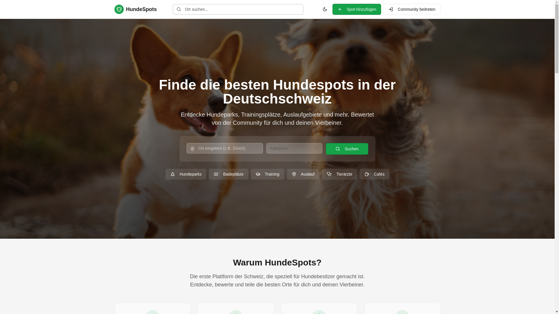 website screenshot of https://hundespots.ch/