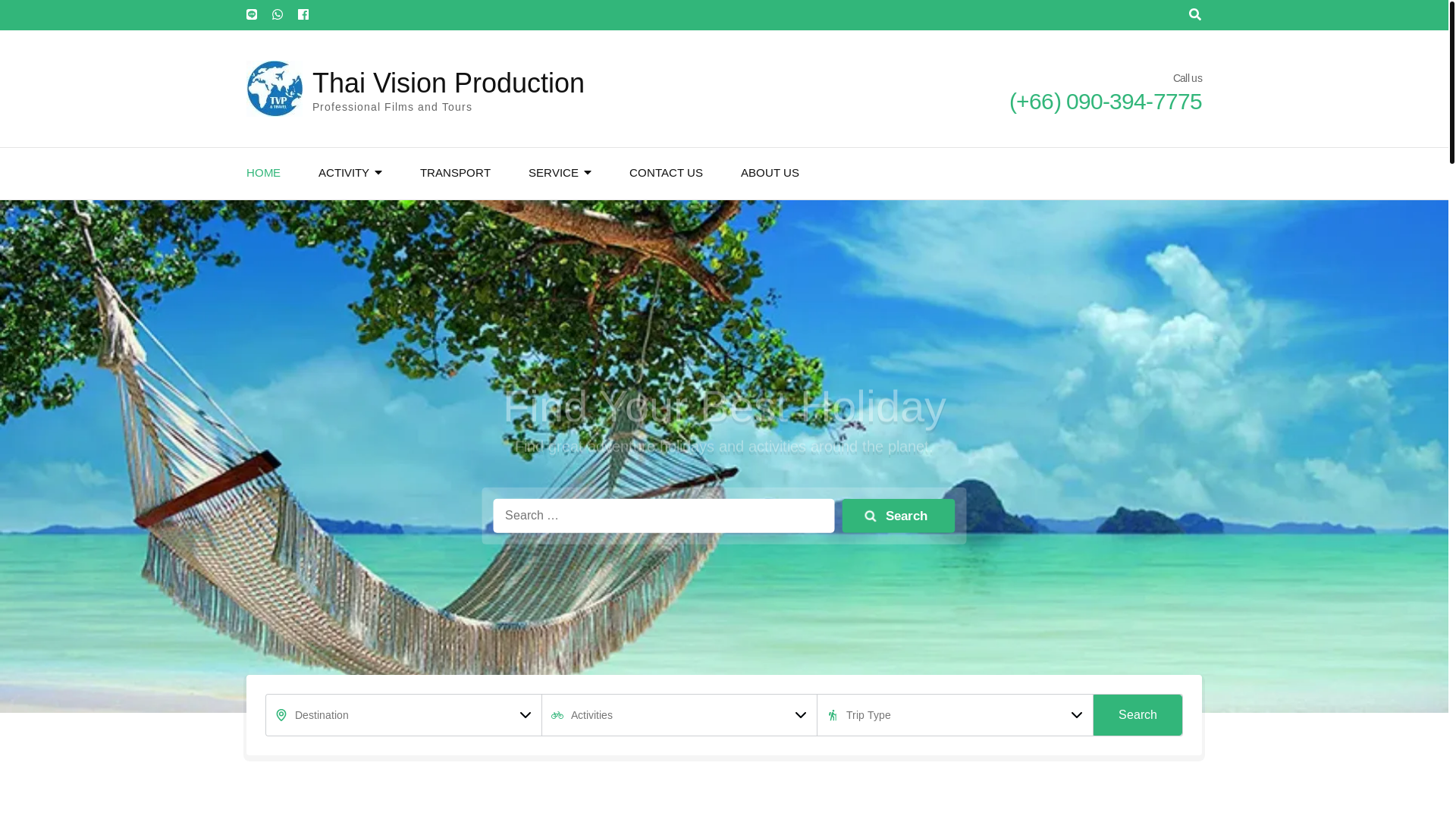 website screenshot of https://thaivisiontravel.com/