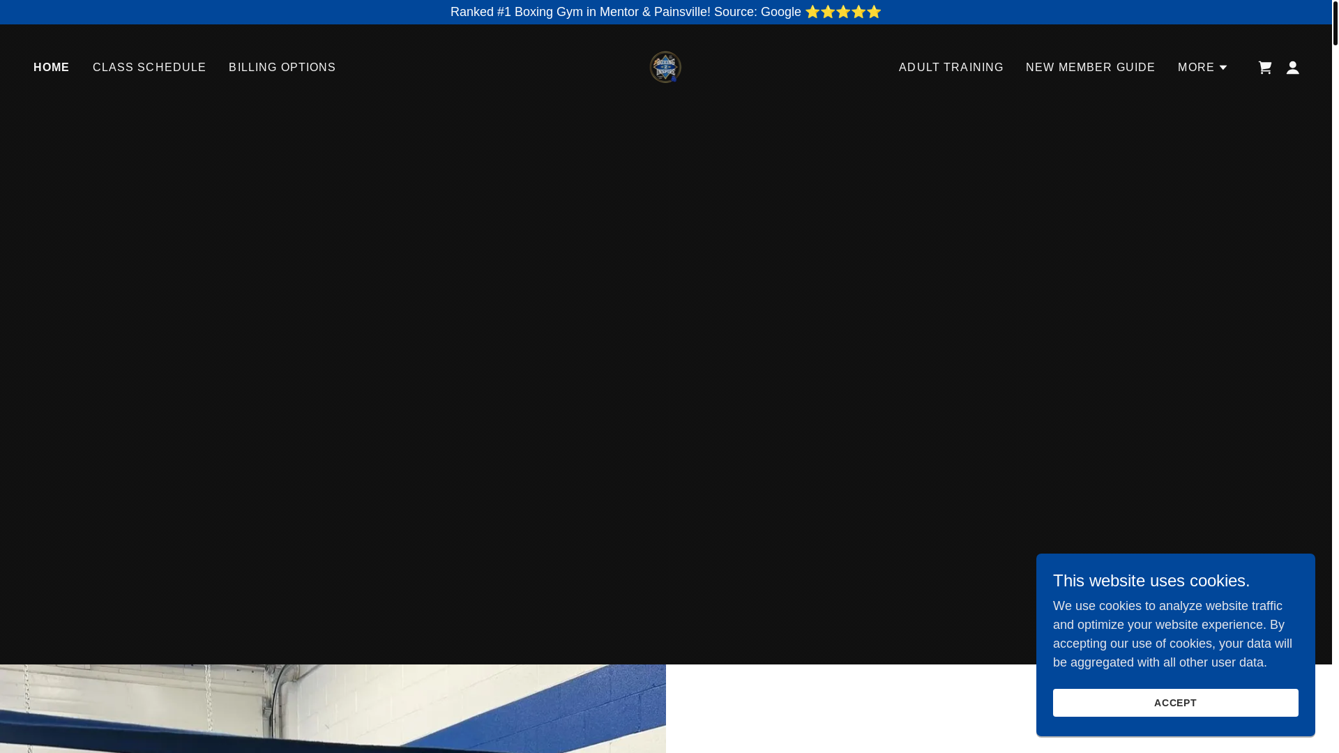 website screenshot of https://ashtabulaboxing.com/
