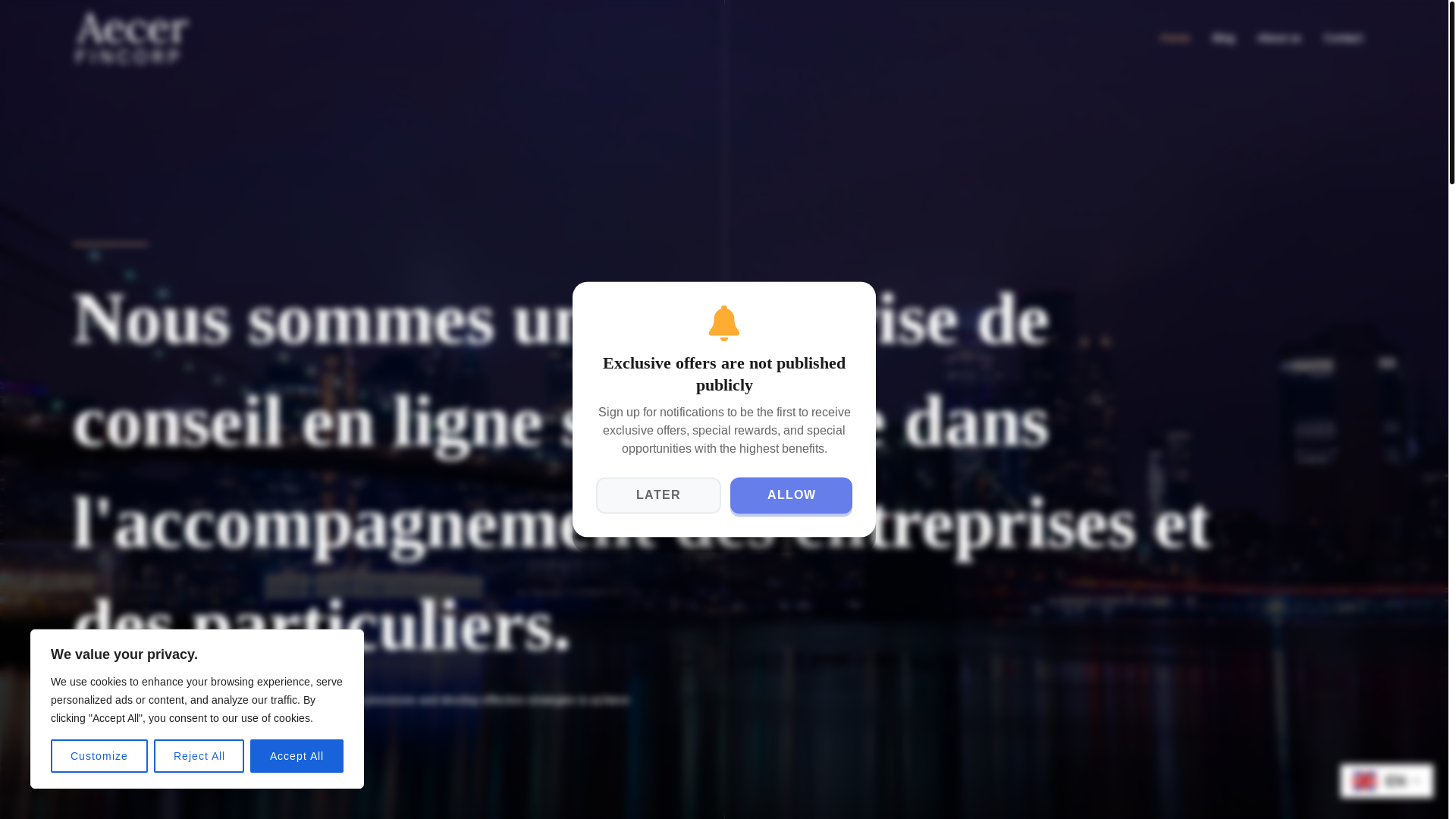 website screenshot of https://prime-business-advice.space/
