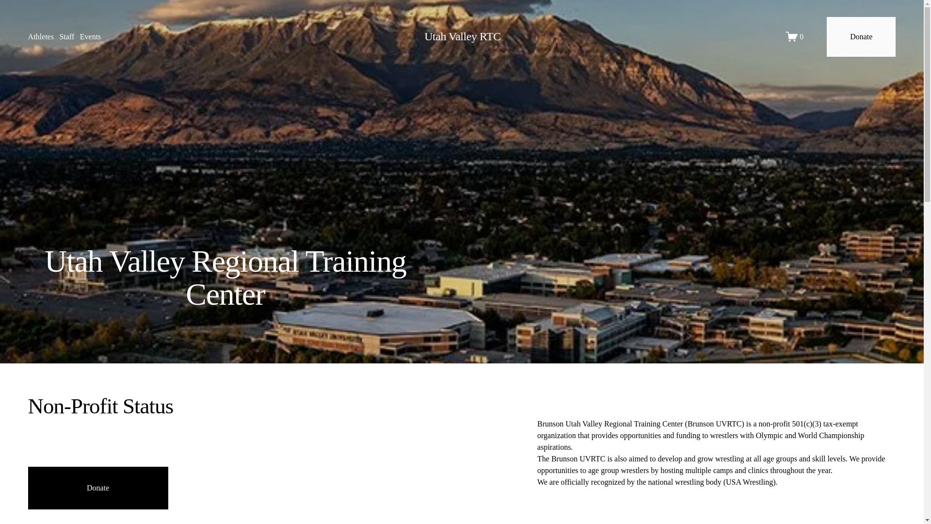 website screenshot of https://adamhallwrestlingcamps.com/