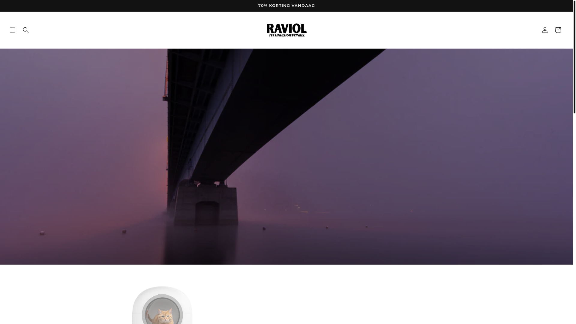 website screenshot of https://ravioilberlin.store/