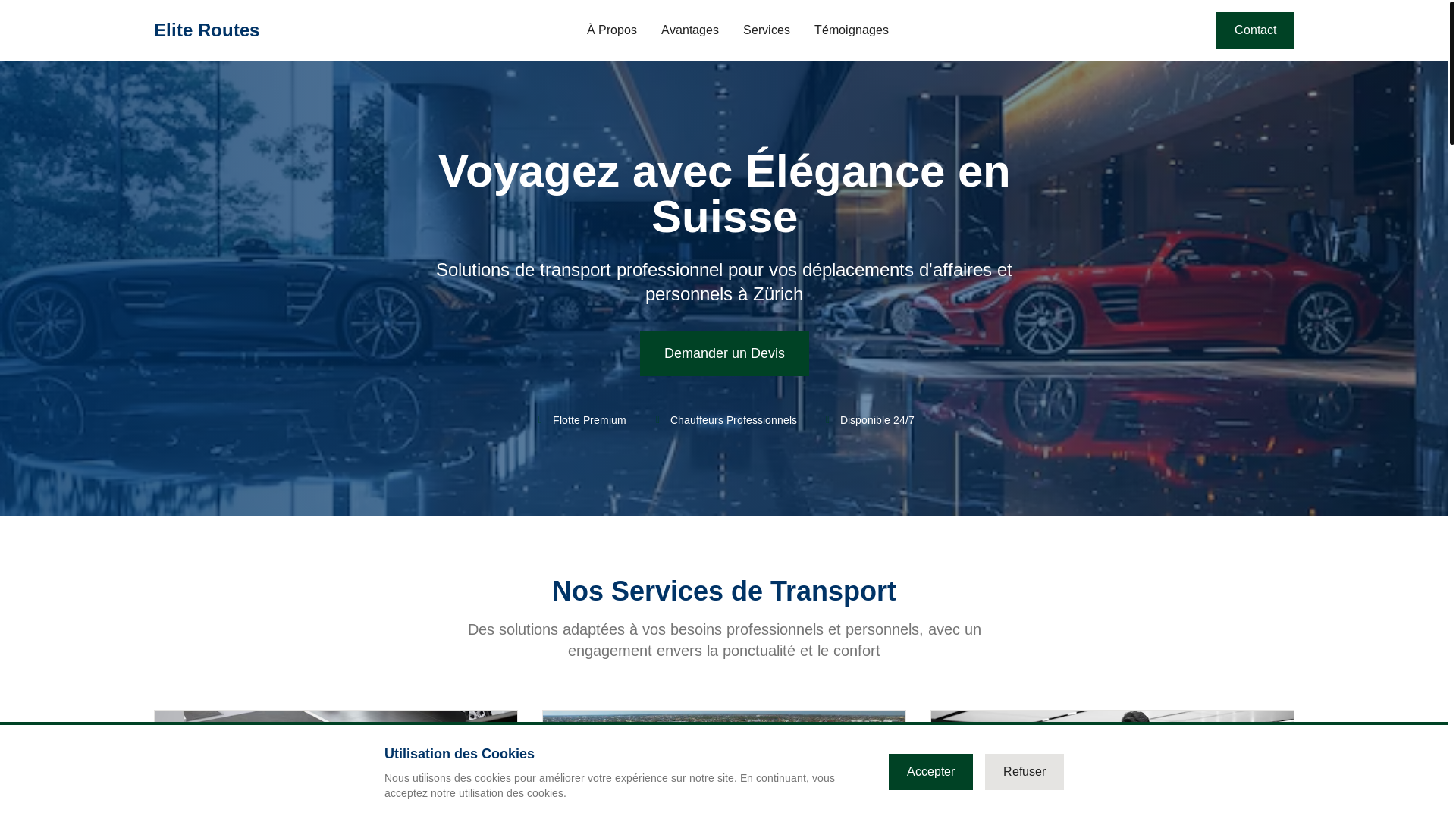 website screenshot of https://eliteroutes.biz/