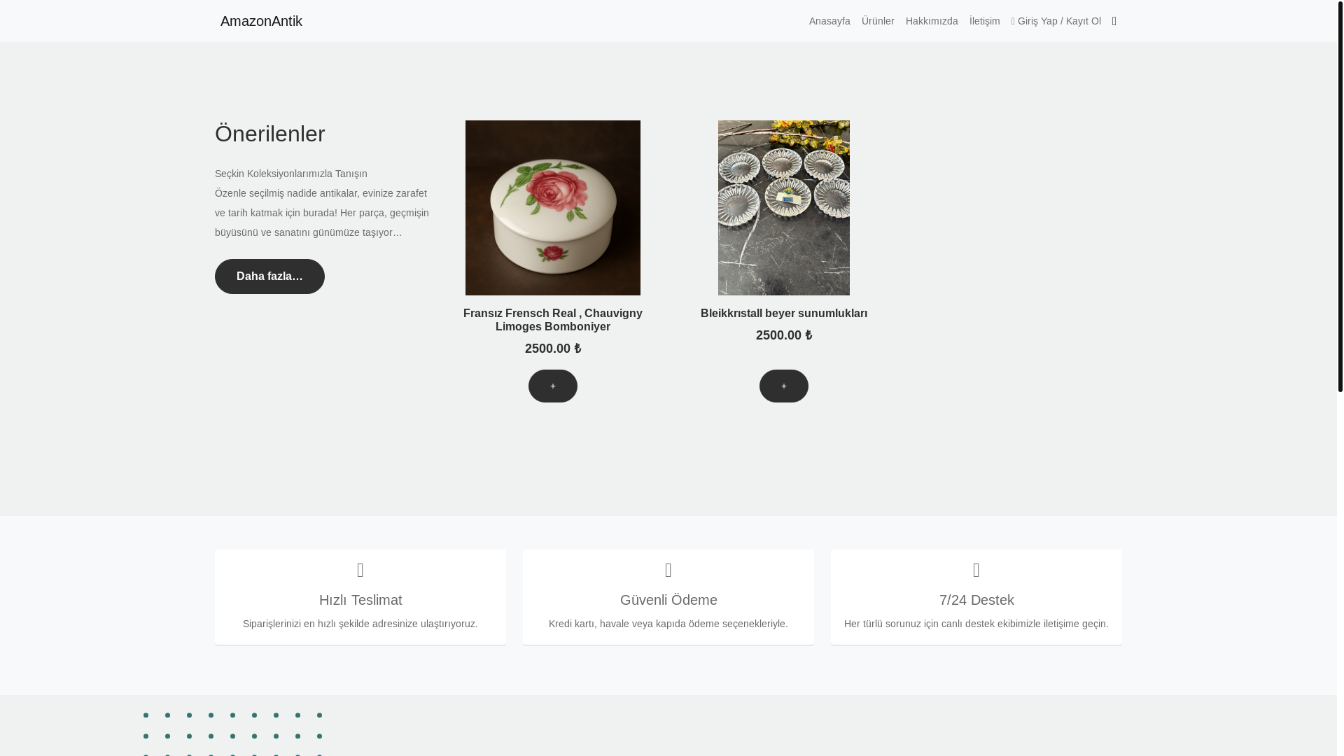 website screenshot of https://amazonantik.tr/