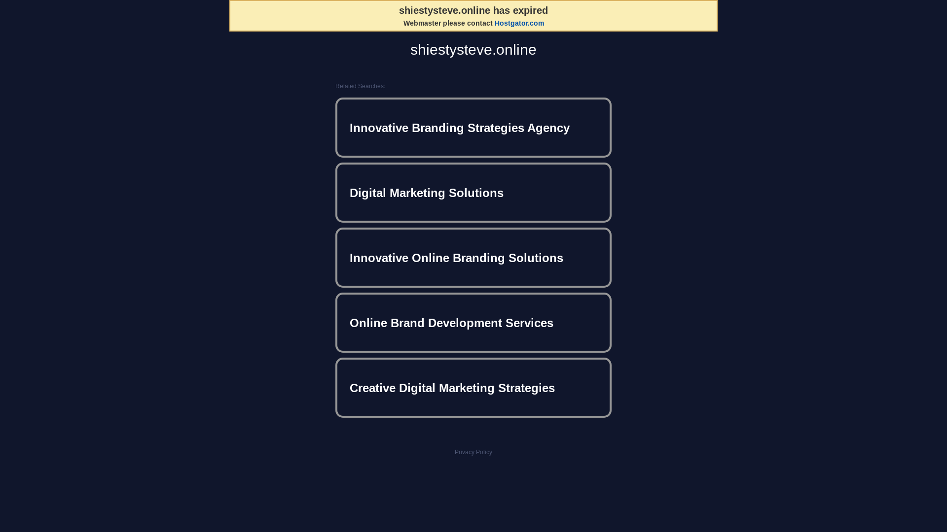 website screenshot of https://shiestysteve.online/