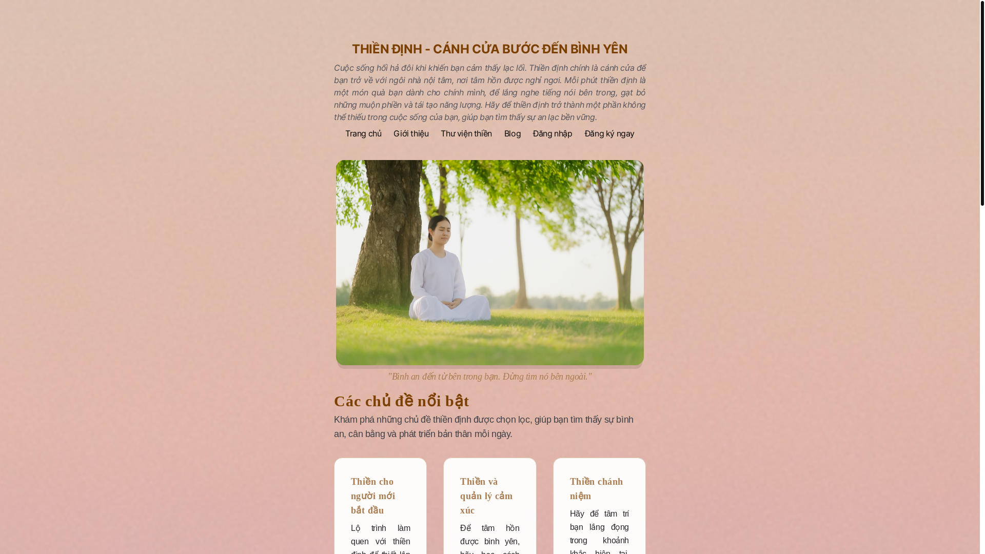 website screenshot of https://hoiquanthien.com/