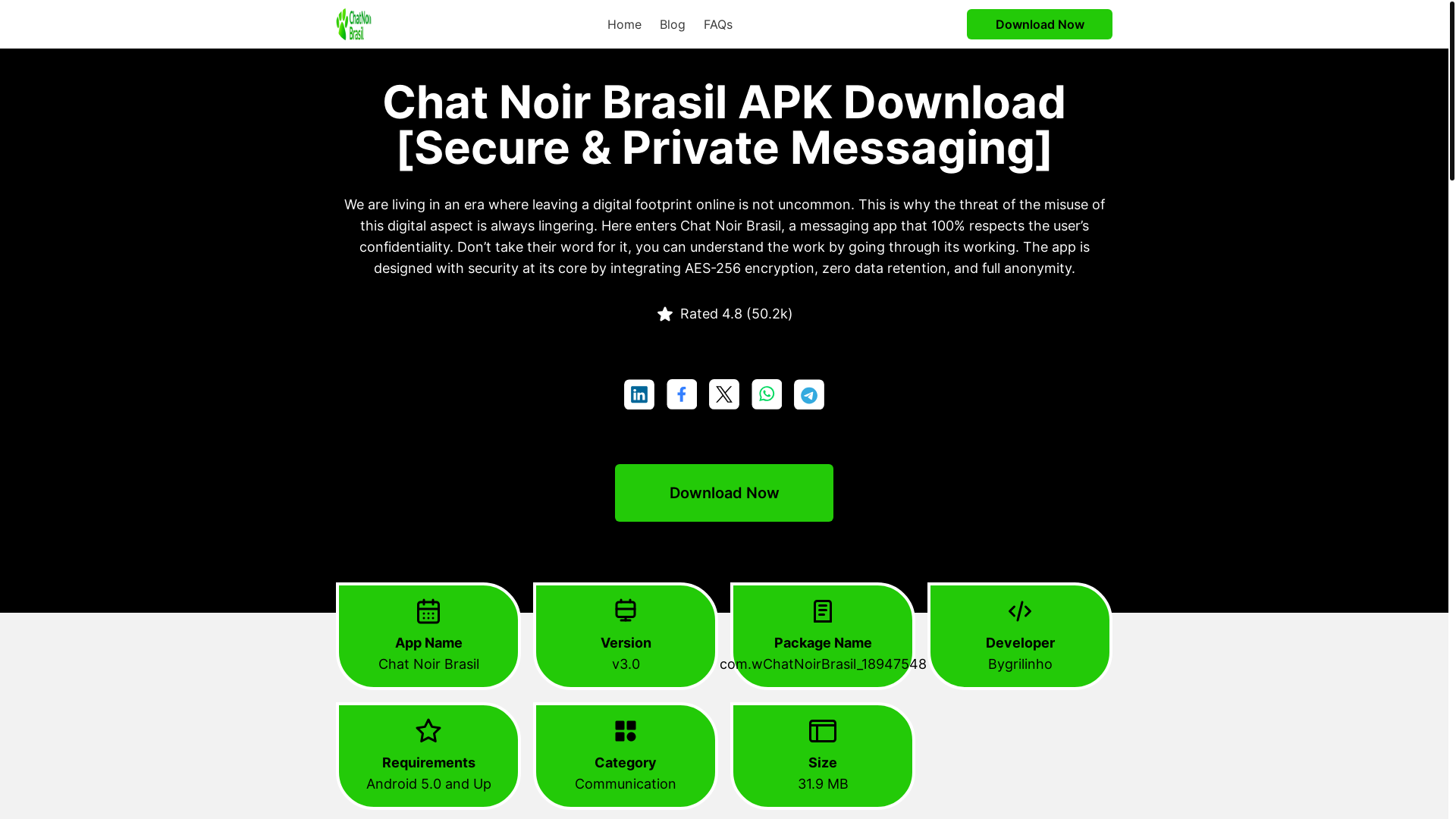website screenshot of https://chatnoirbrasil.net/