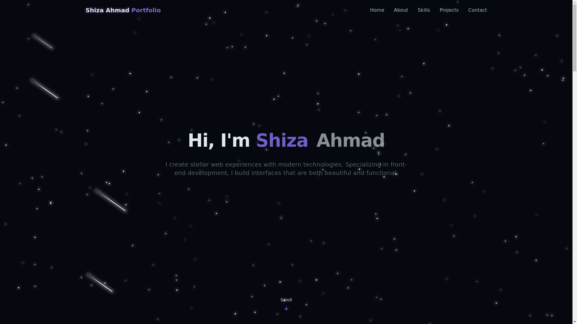 website screenshot of https://shizaahmad.com/