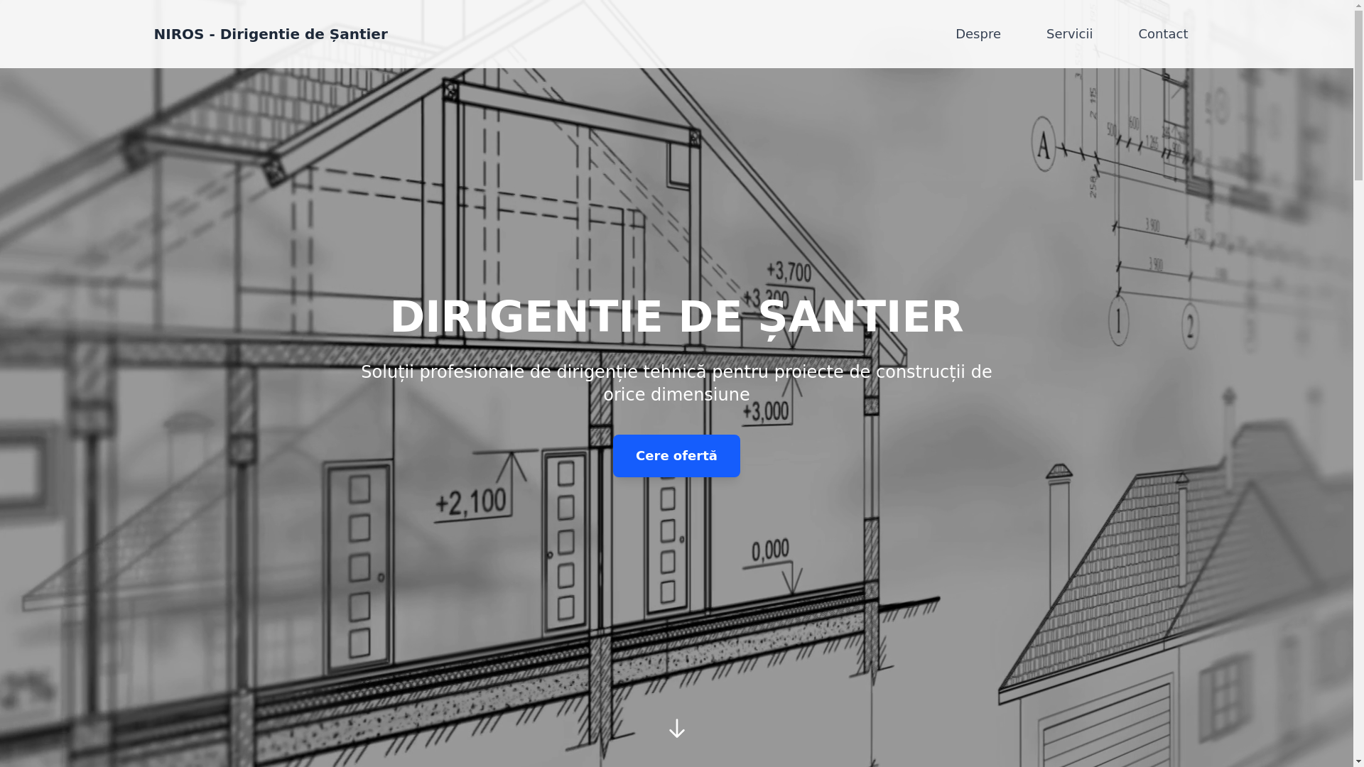 website screenshot of https://dirigintesantier-bn.ro/