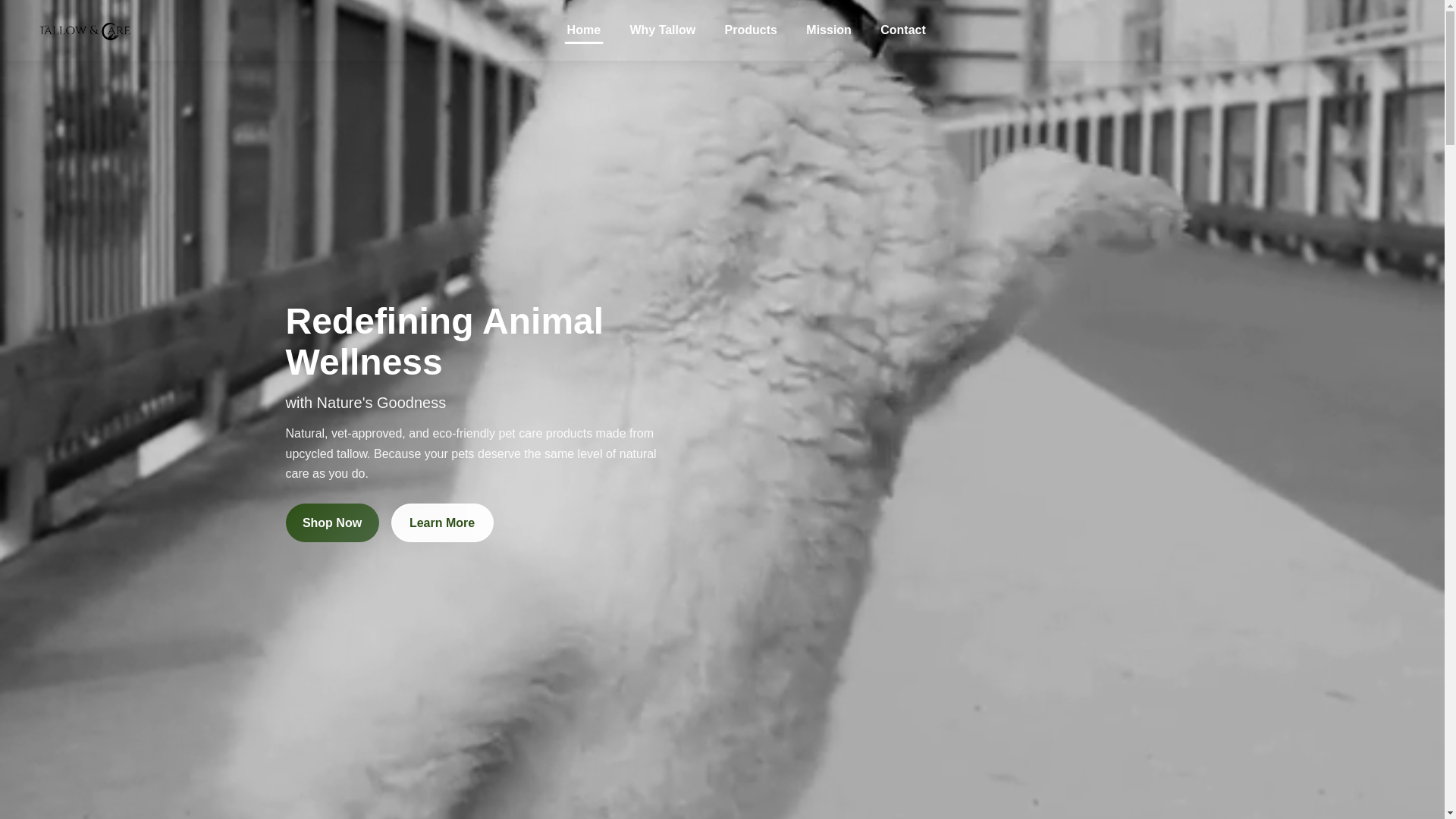 website screenshot of https://tallowandcare.in/