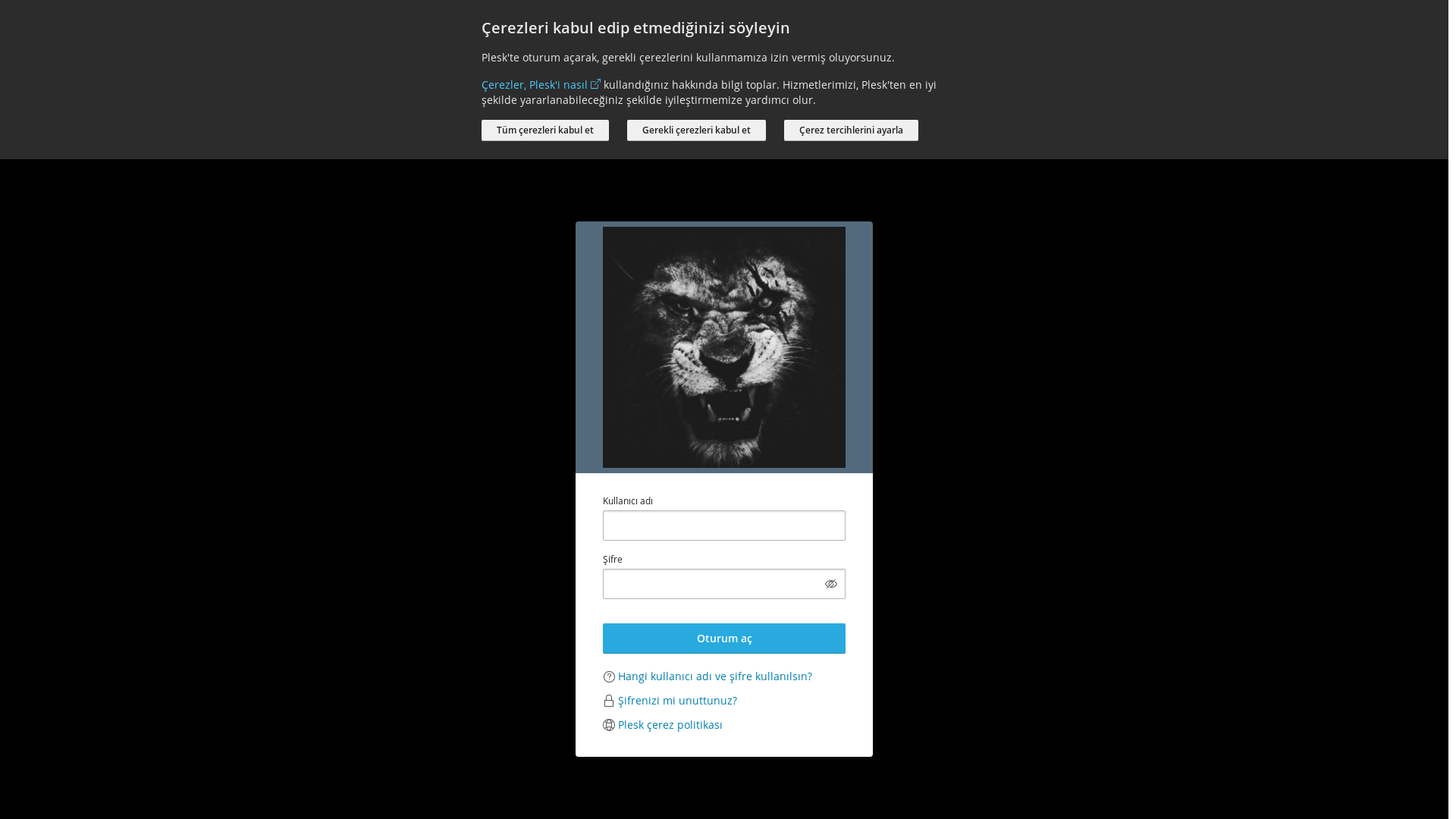 website screenshot of https://karacabutik.com.tr/