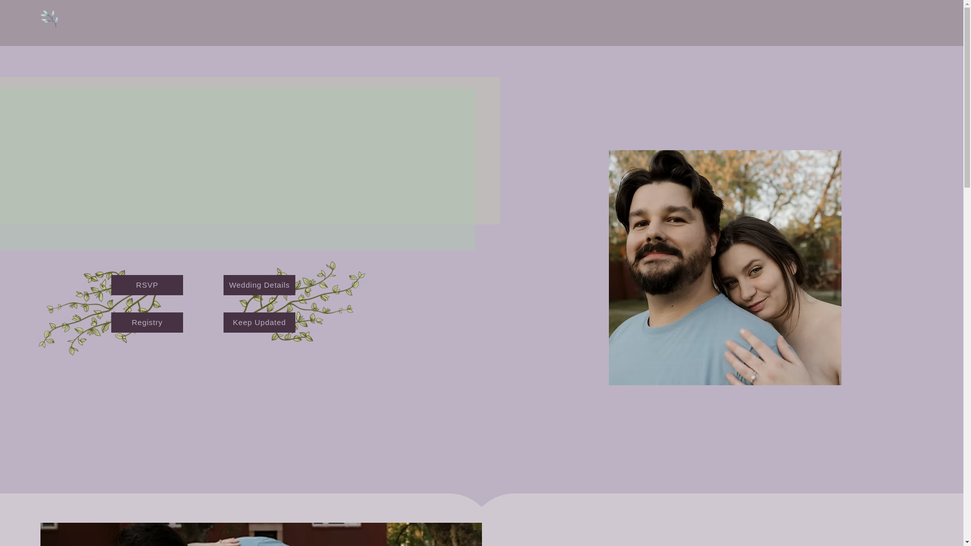 website screenshot of https://howardgrantwedding.com/