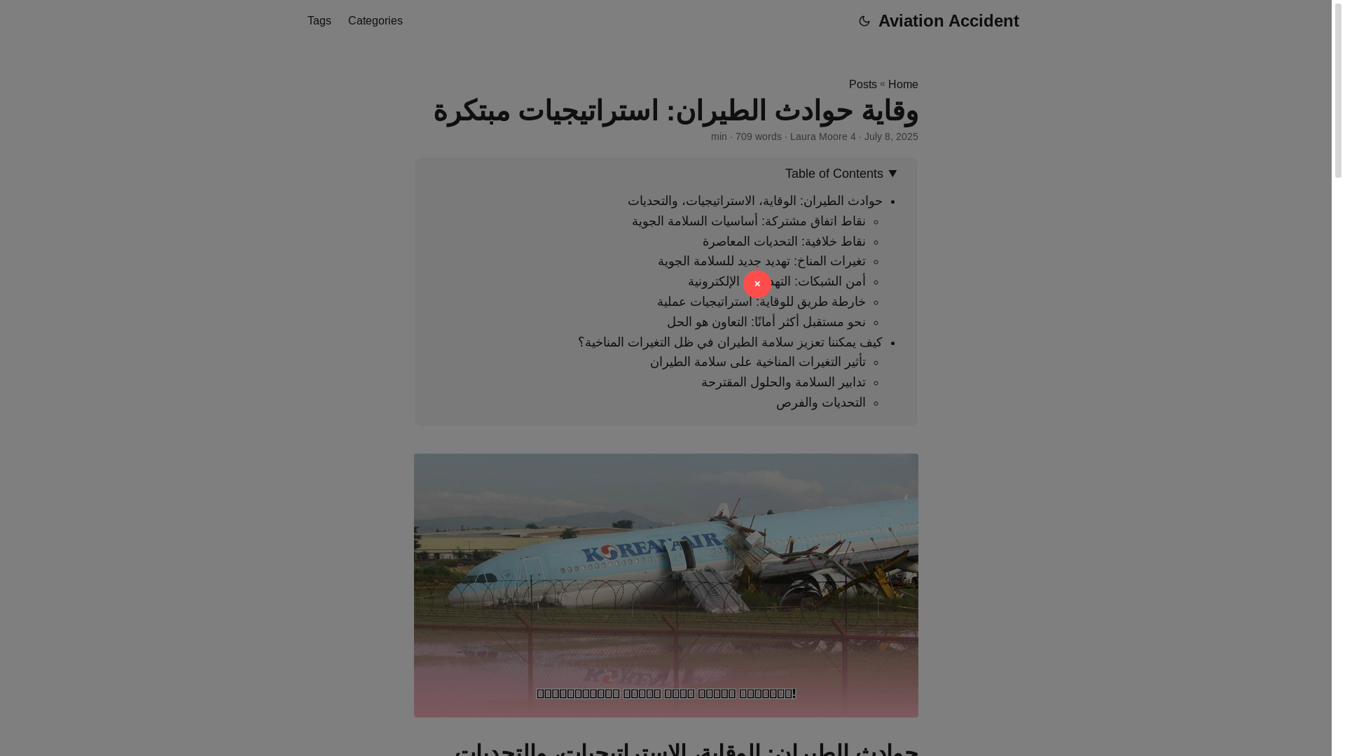 website screenshot of https://aviation-accident.pages.dev/