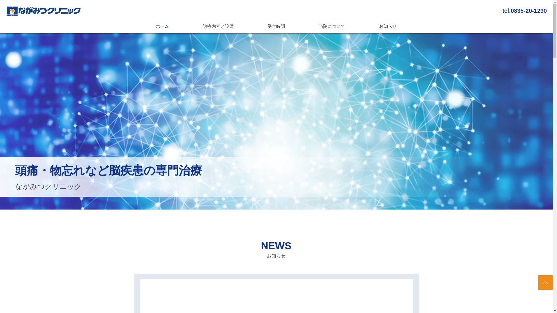 website screenshot of https://nagamitsu-cl.com/