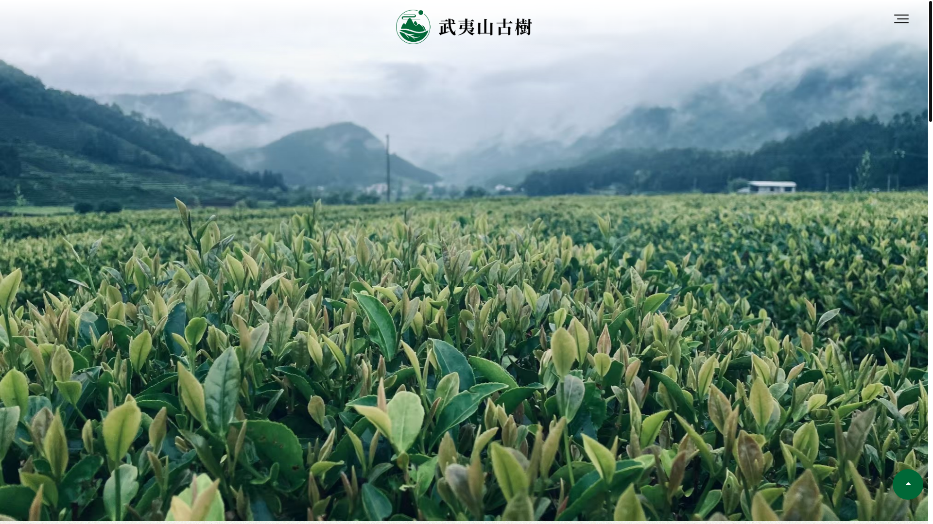 website screenshot of https://rockhill-tea.com/