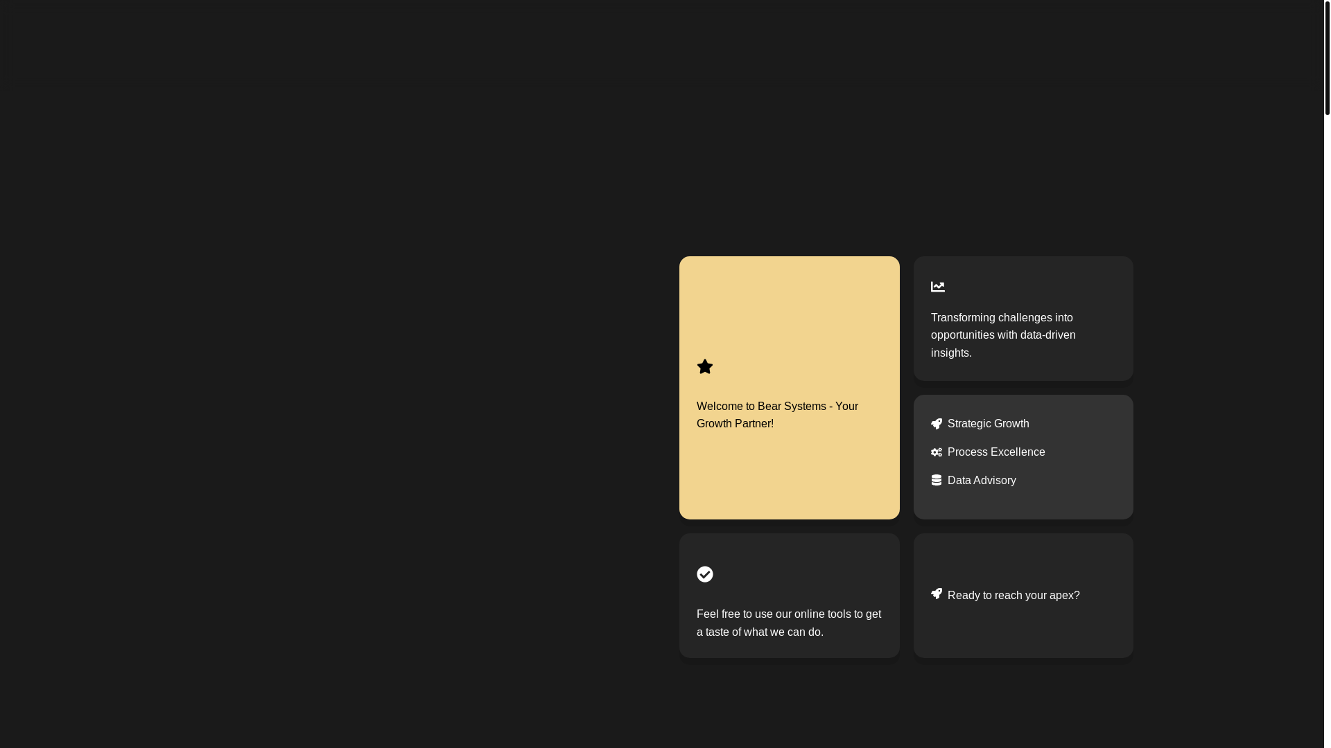 website screenshot of https://bearsystems.in/