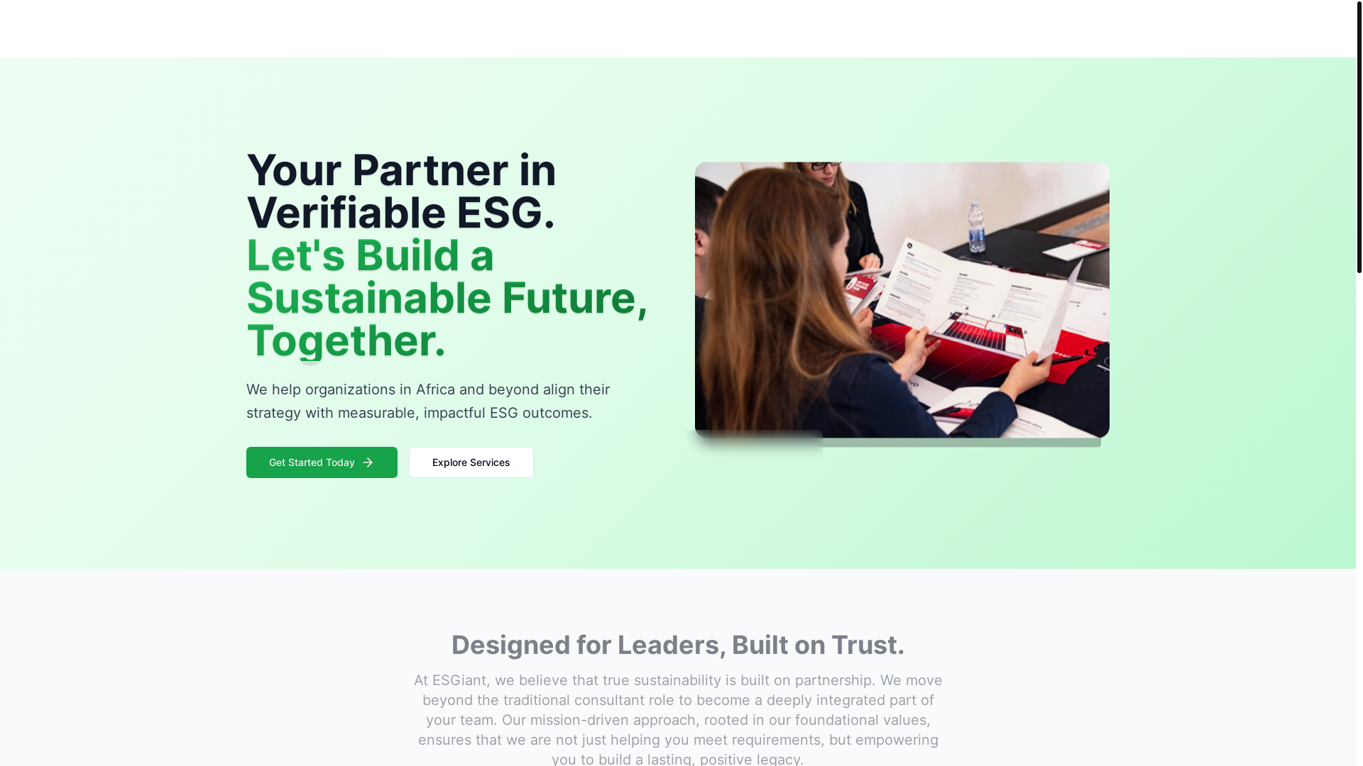 website screenshot of https://esgiant.co.tz/