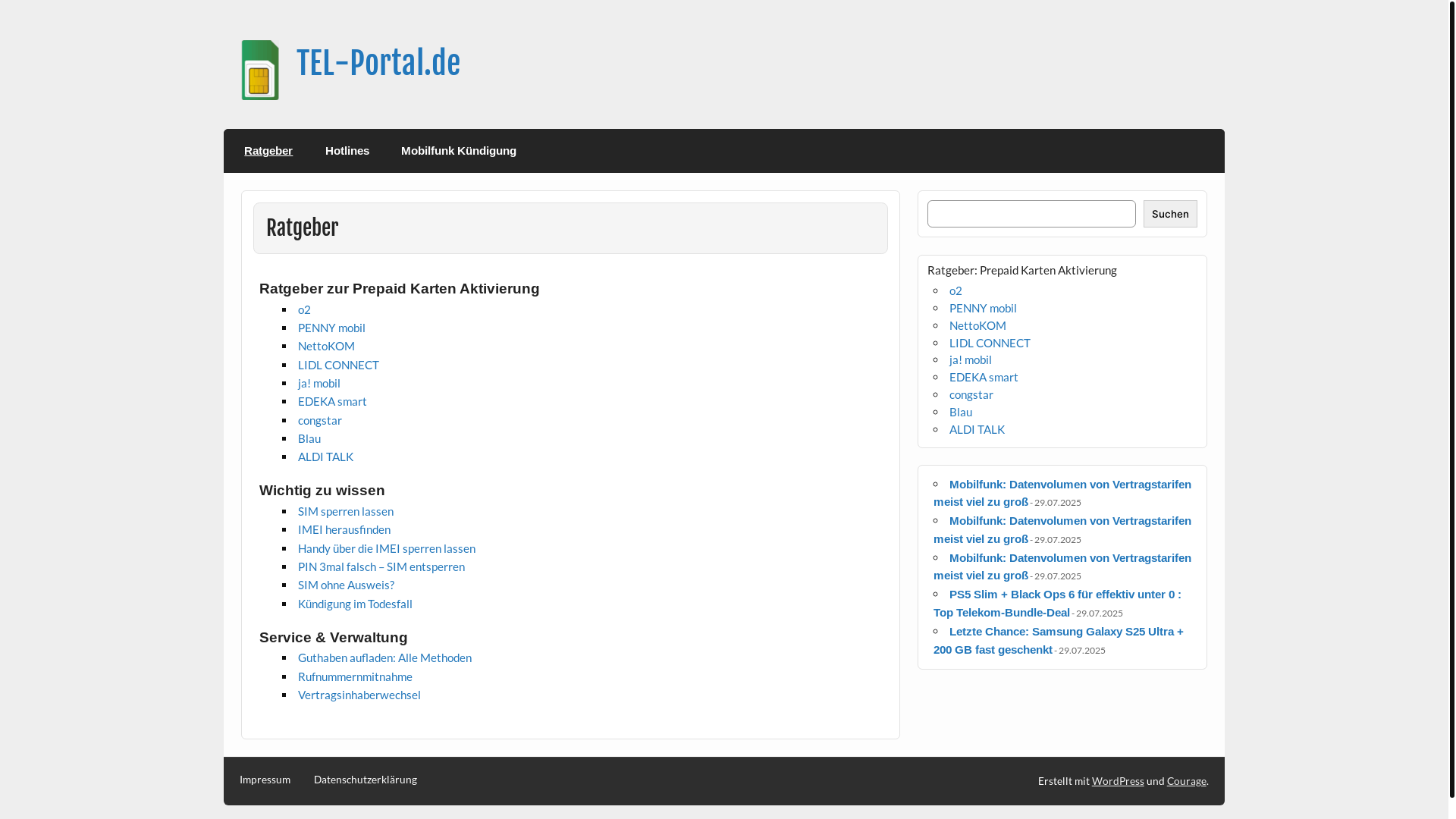 website screenshot of https://tel-portal.de/