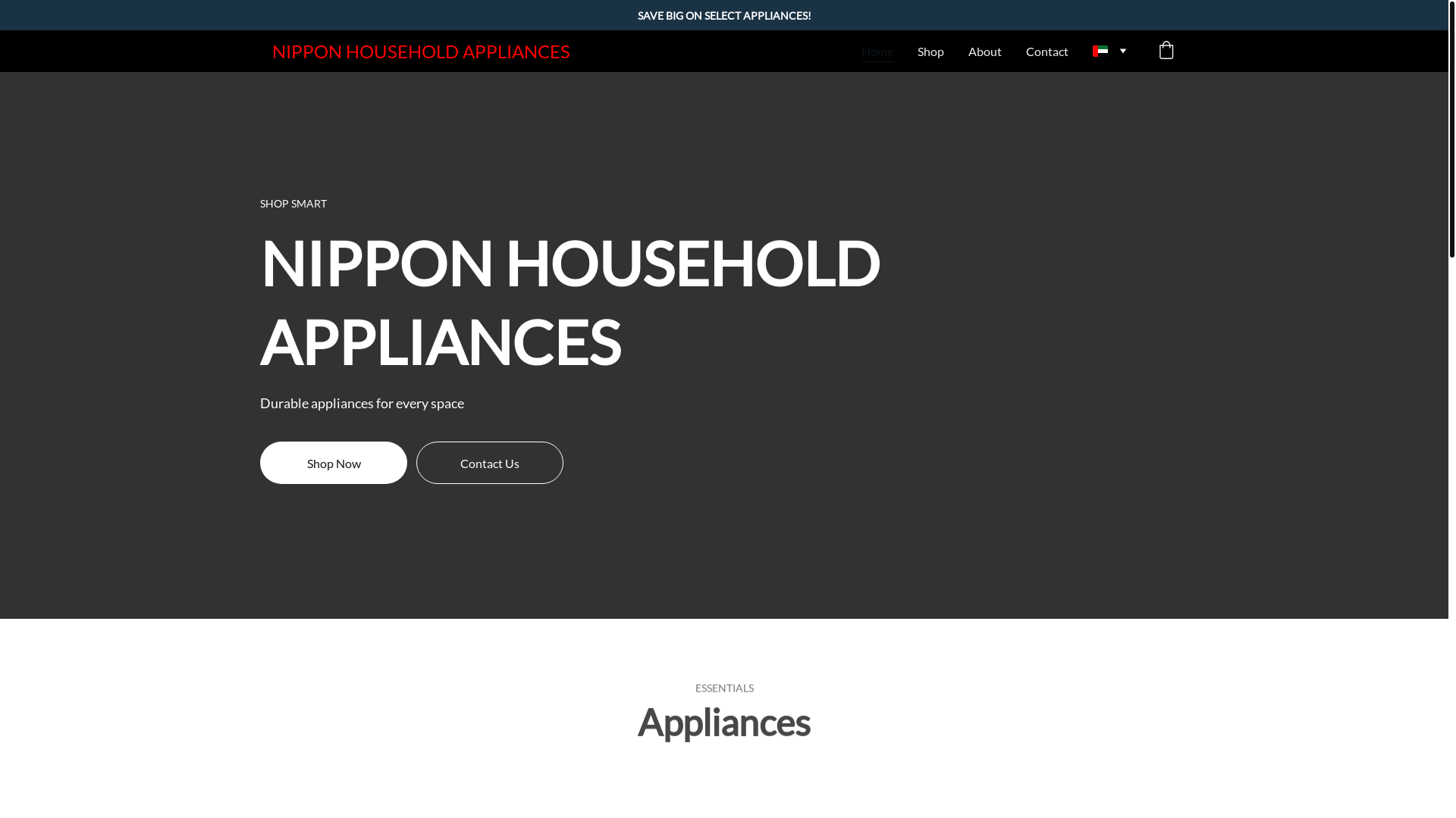website screenshot of https://nipponhouseholdappliancesuae.homes/